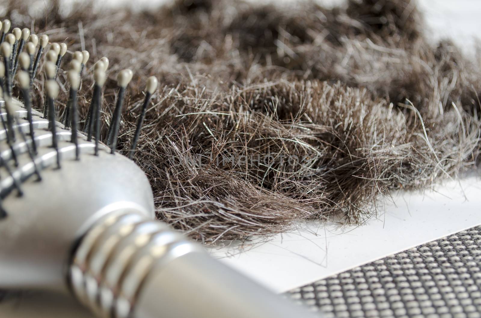 hairbrush with hair background concept hair loss and healthy Hair