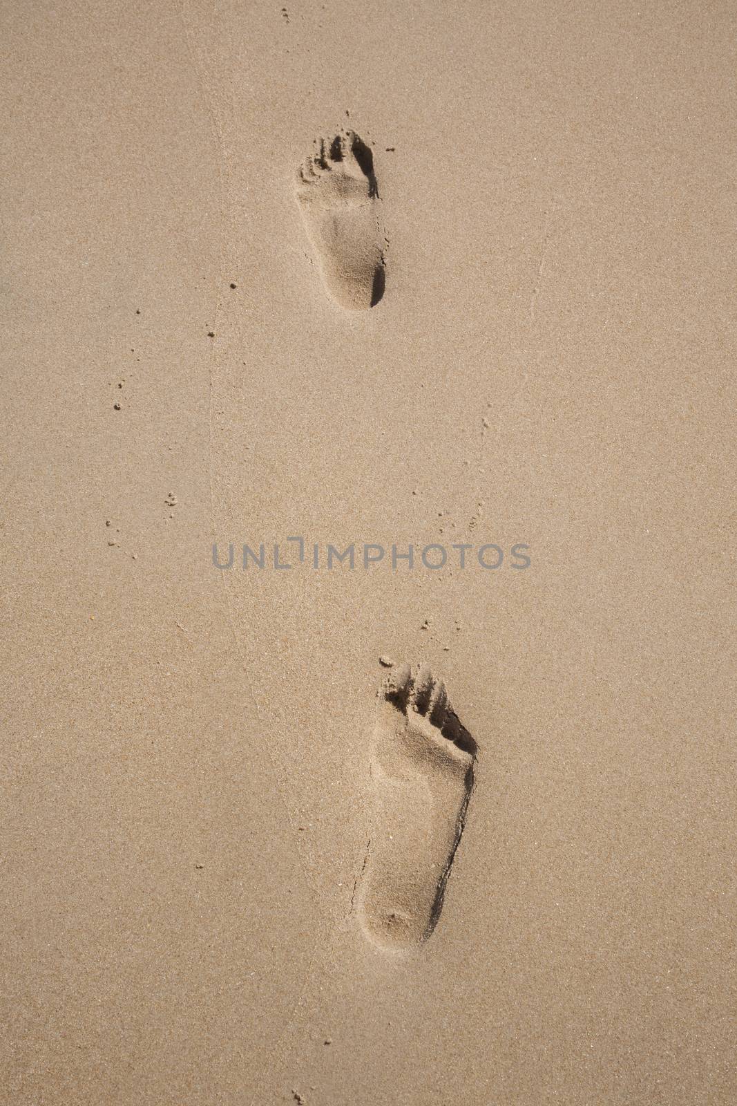 footprints both feet on a sand beach seaside next to Conil Cadiz Andalusia Spain