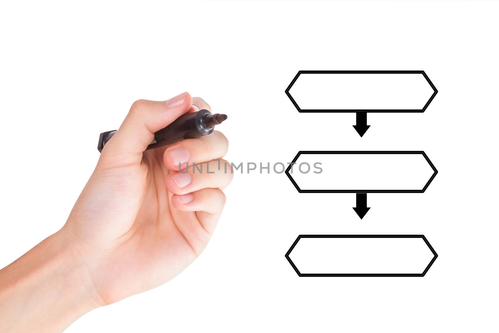 Young hand holding marker and drawing blank flow chart with space for text, isolated on white background.