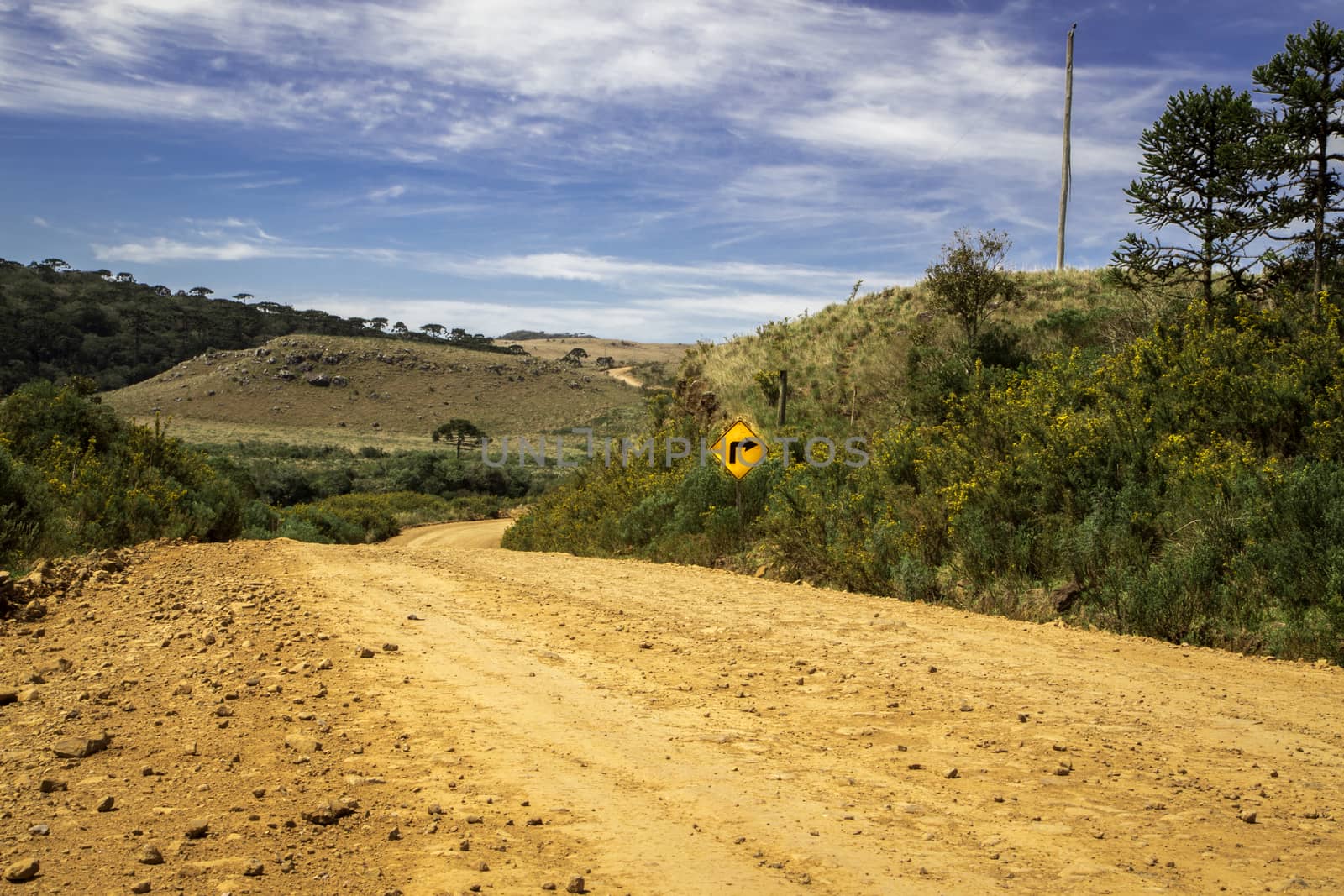 Yellow sign of curve ahead on off road