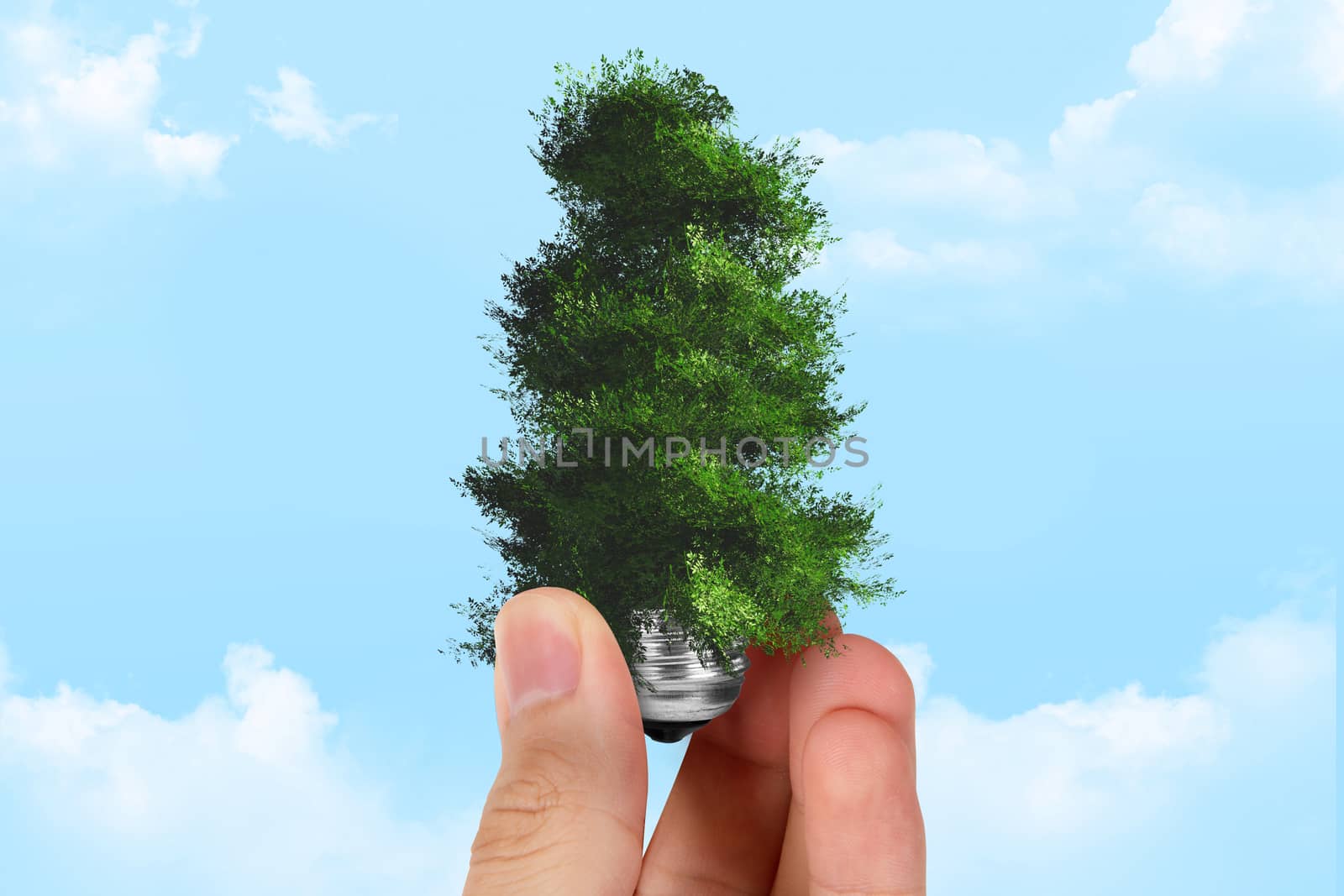 Ecology concept, hand holding light bulb with green tree growing on blue cloudy background.