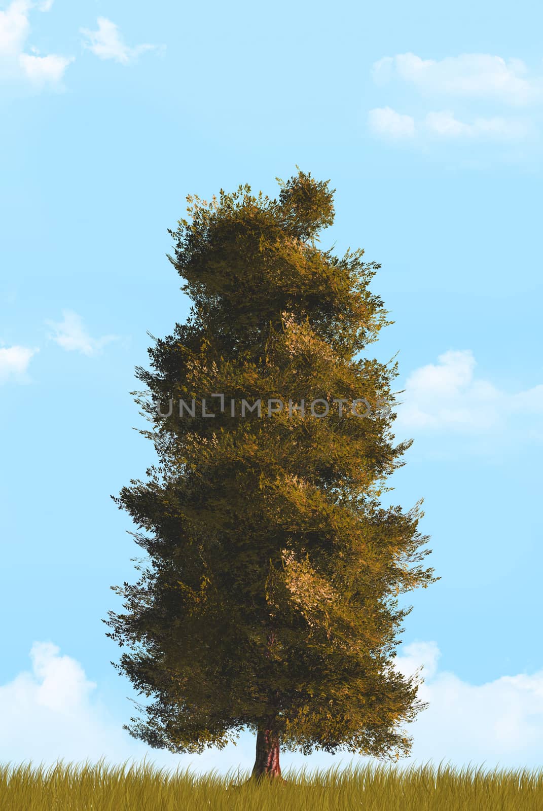 Tree in autumn season with cloudy background.