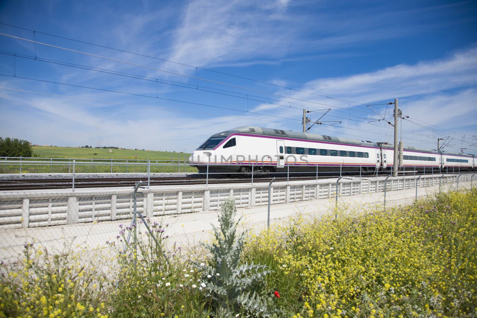 fast speed train over flowers in a landscape from Spain