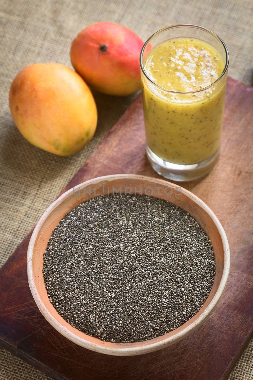 Chia Seeds (Lat. Salvia Hispanica) by ildi