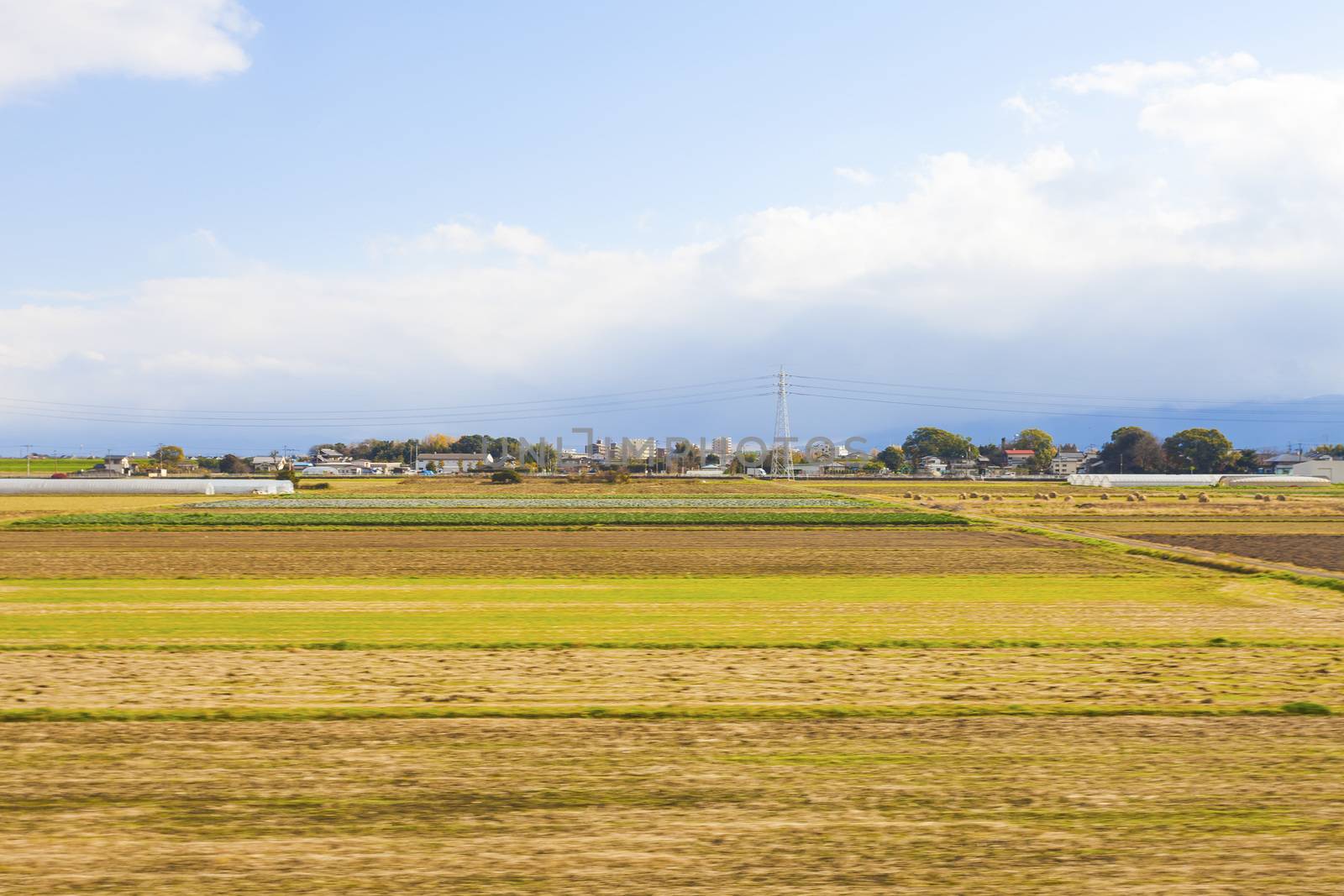 Farmland in Japan