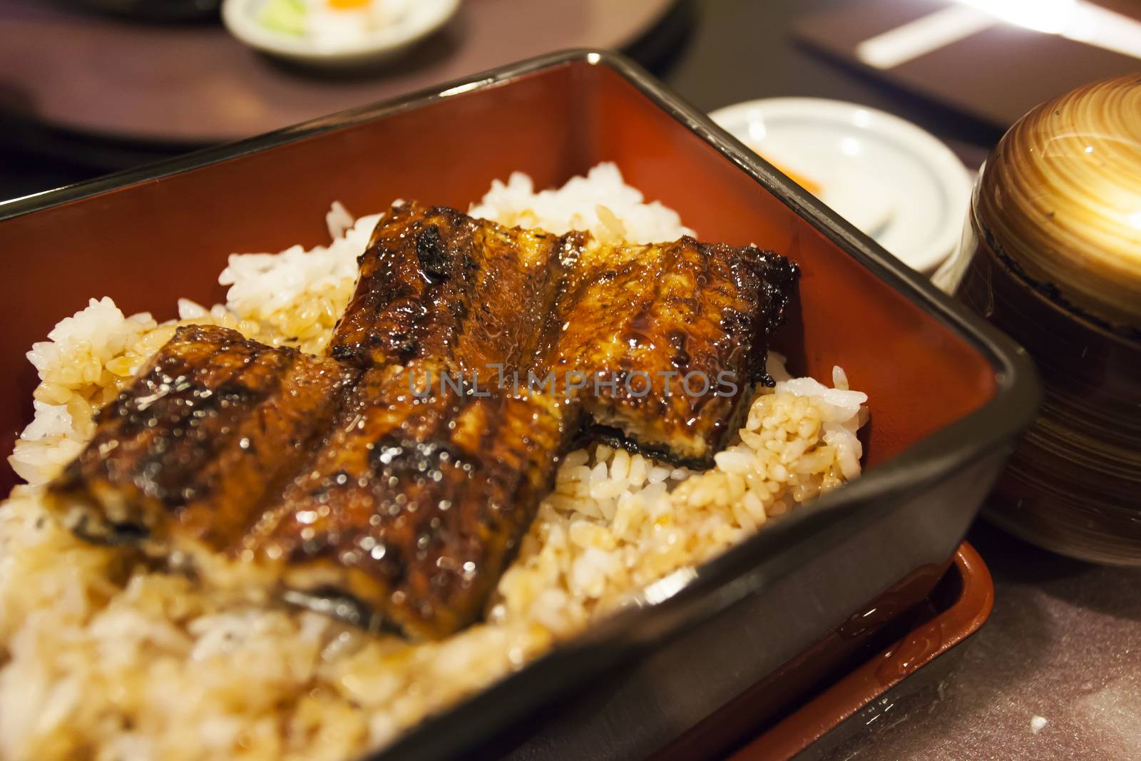 Grilled eel rice in bowl by kawing921