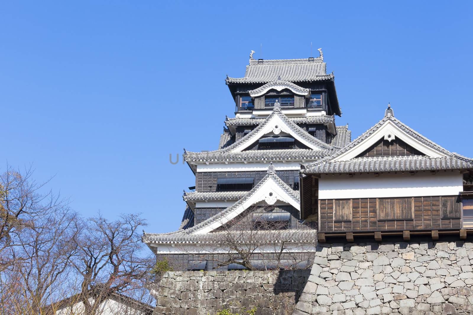 Ancient castle in Japan