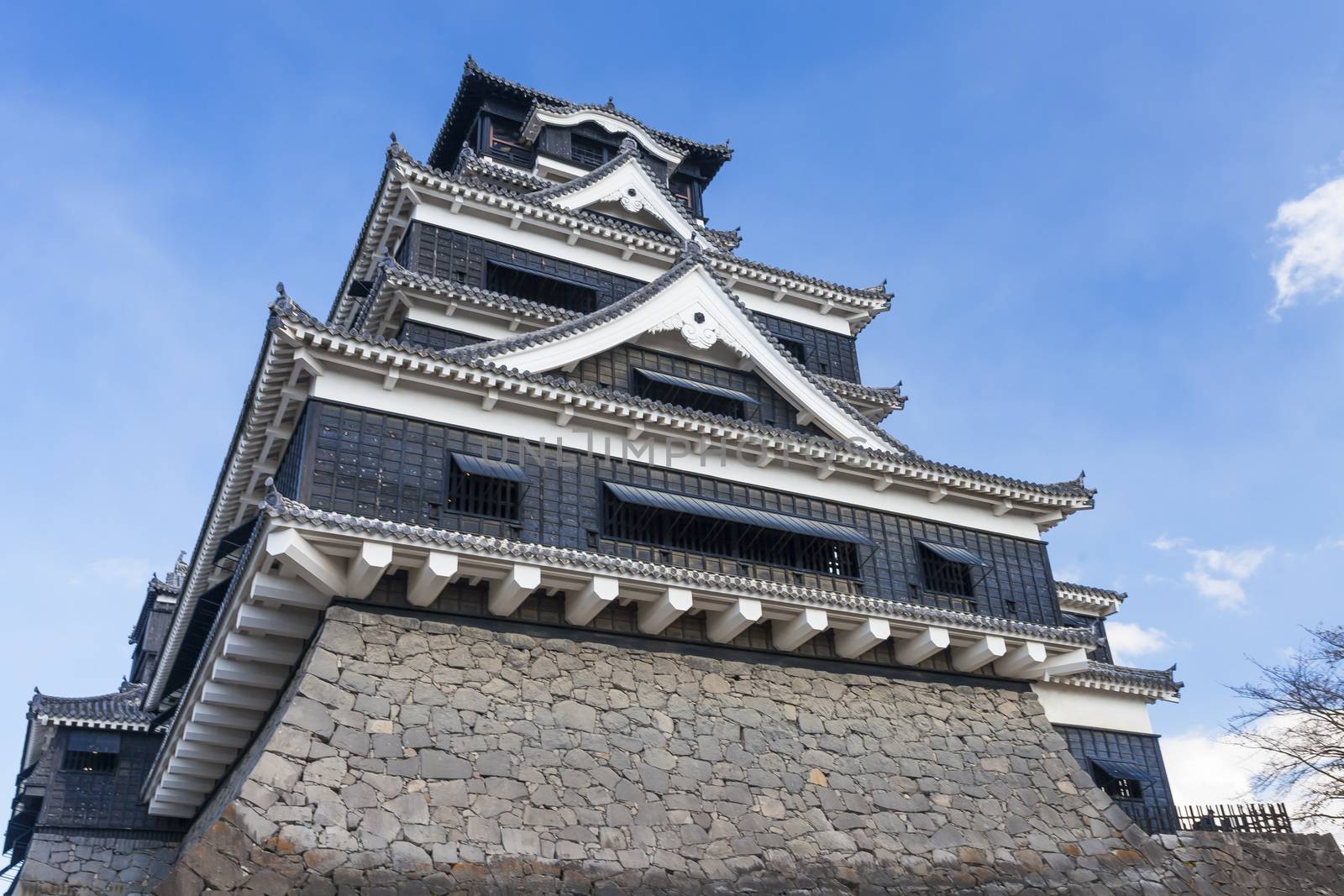 Ancient castle in Japan