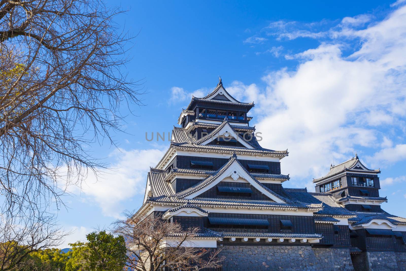 Kumamoto Castle in Japan by kawing921