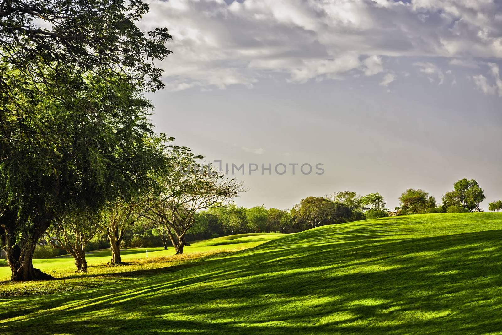 Golden sunrise on golf greens, Philippines