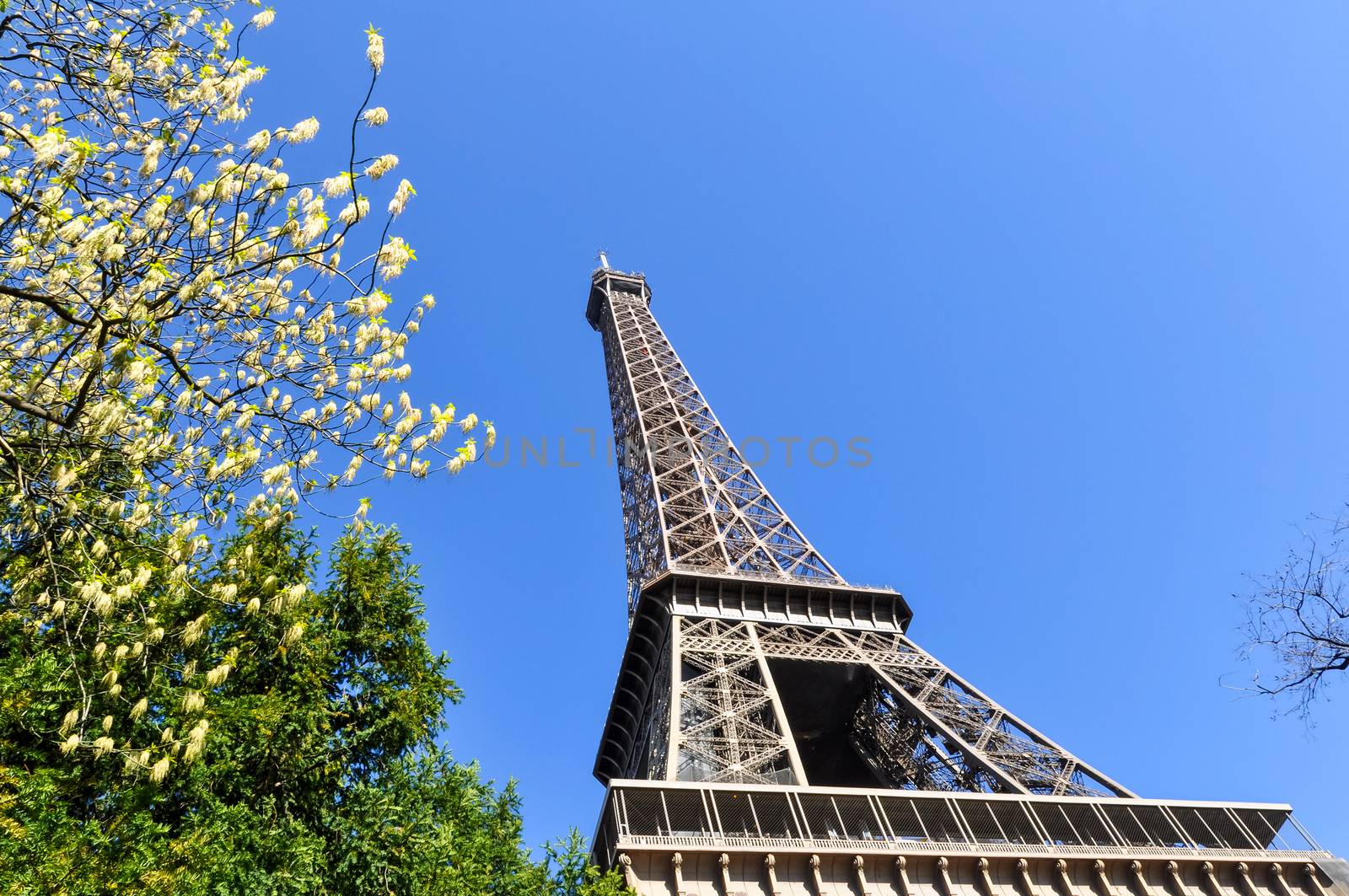 The Eiffel Tower in Paris, France