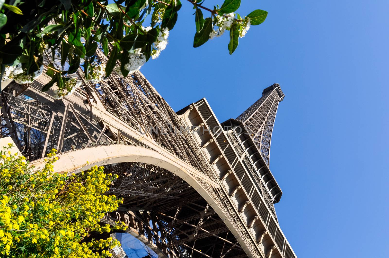 The Eiffel Tower in Paris, France