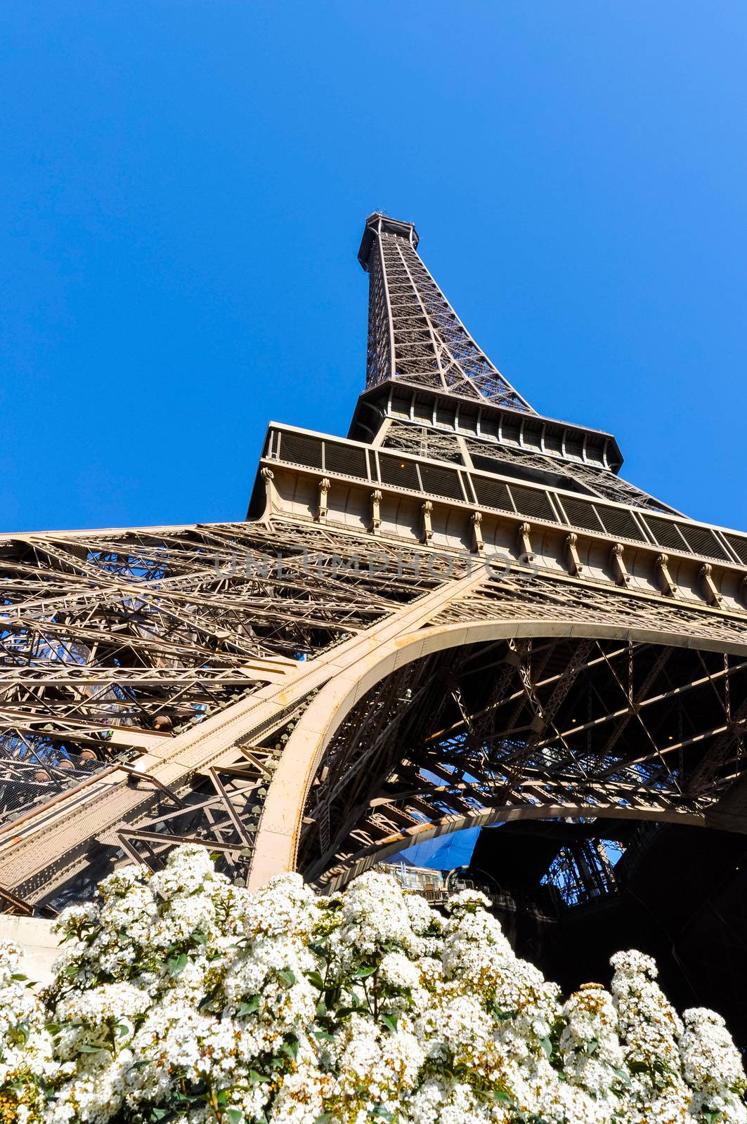 The Eiffel Tower in Paris by dutourdumonde