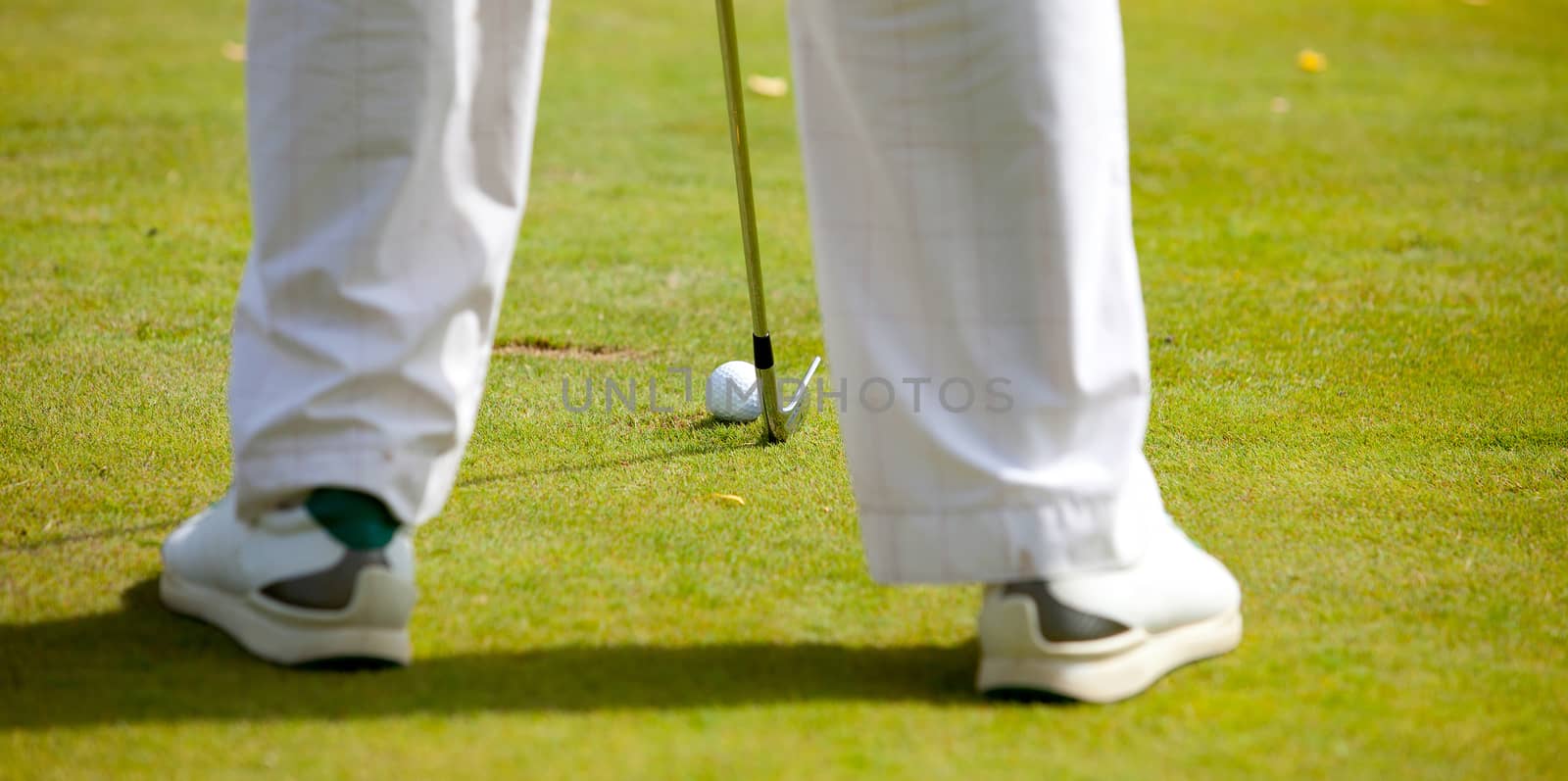 golfer ready to tee off on the golf field