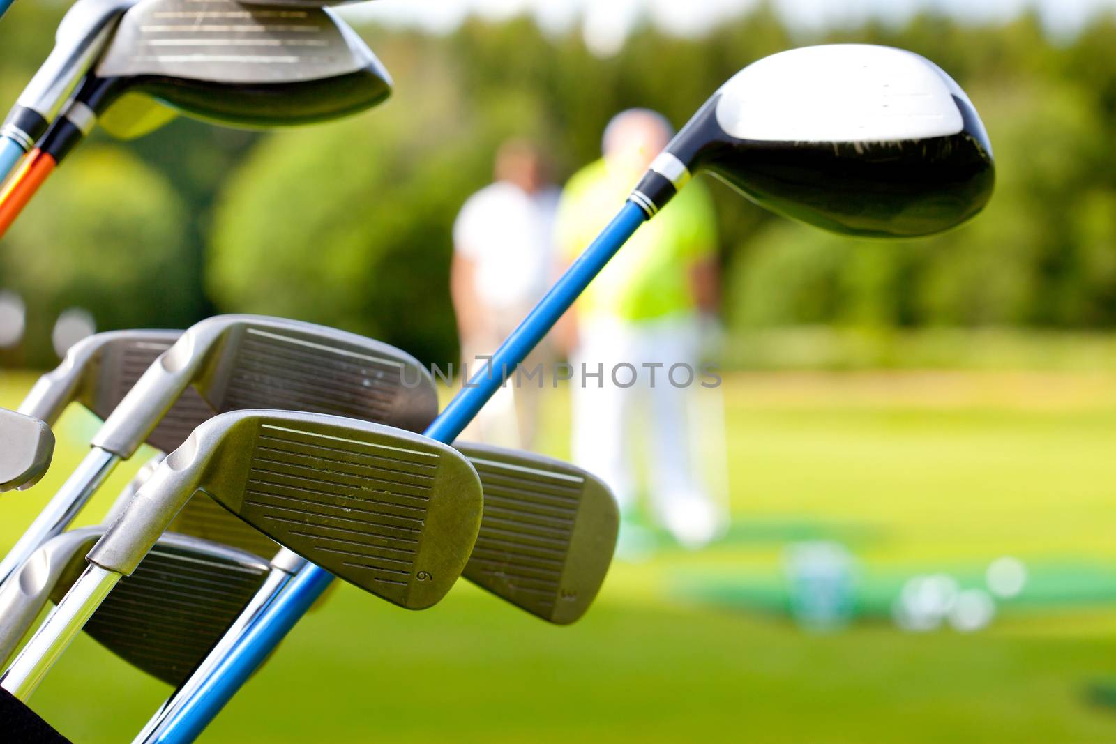 golf club against the background of green field