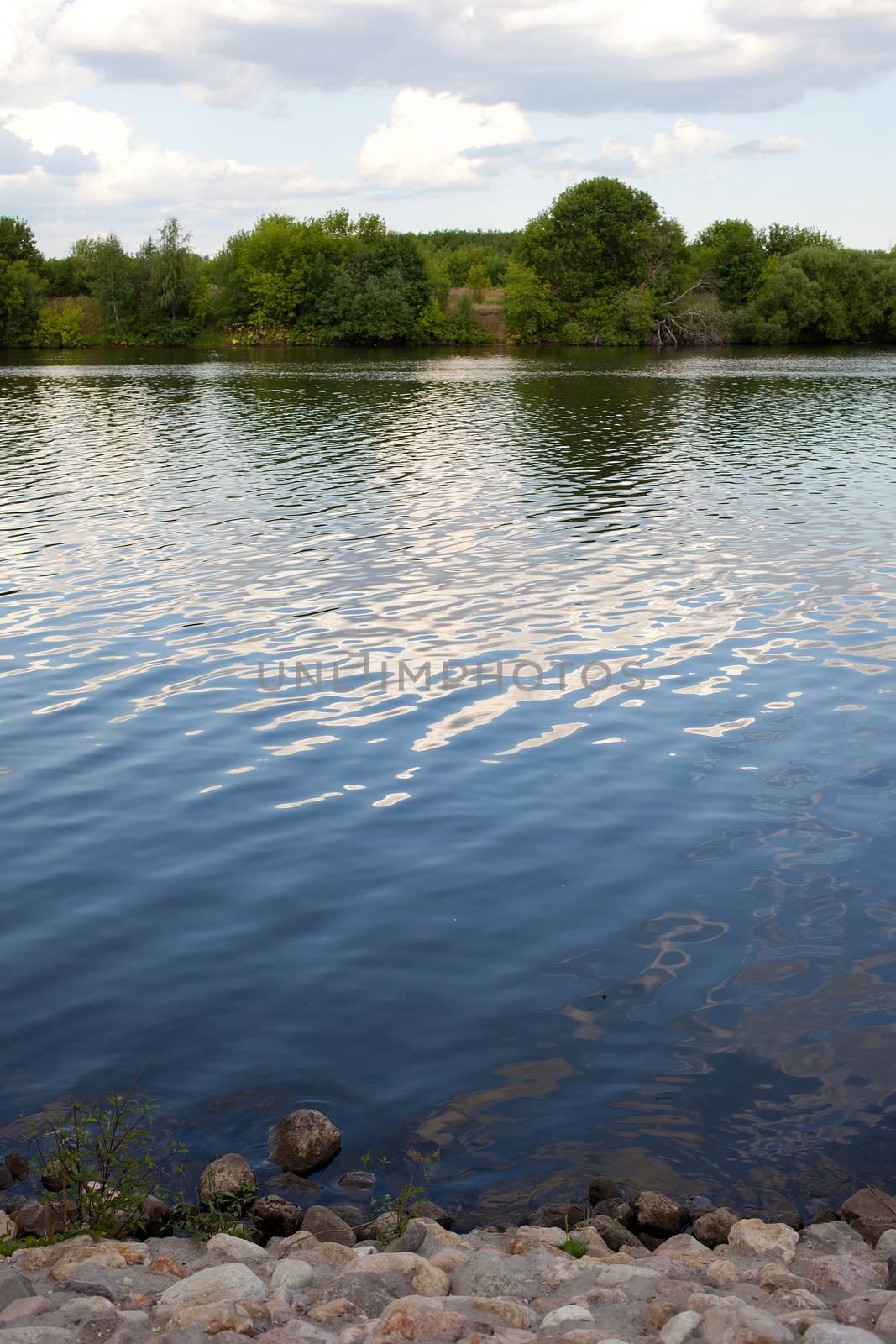 evening by the river. landscape