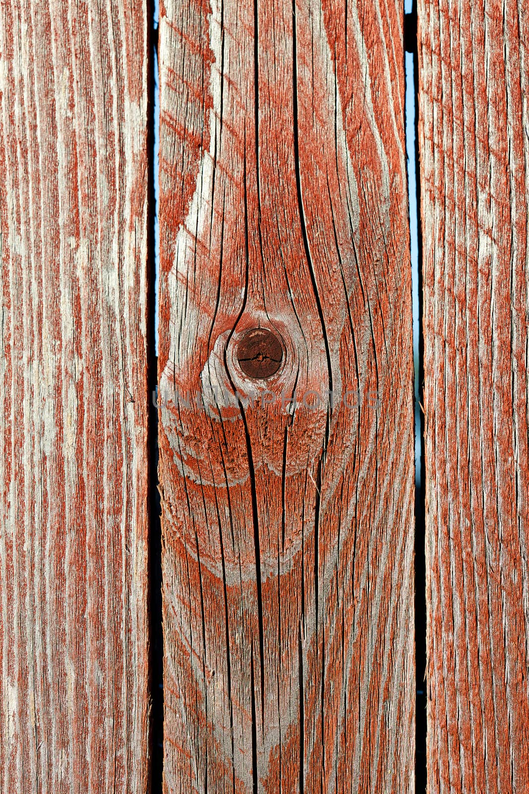 grunge texture of wood board