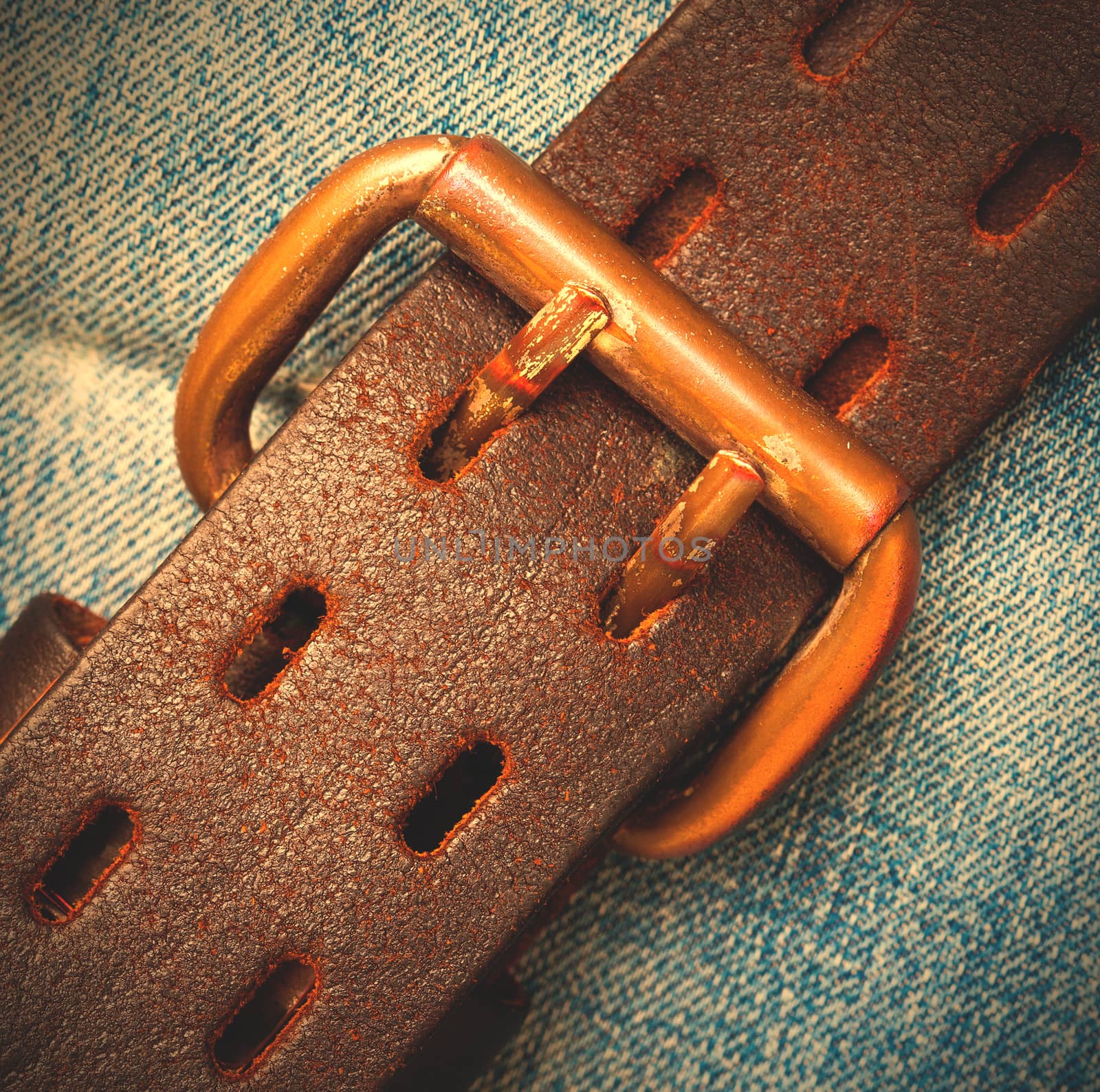 clasped leather belt on jeans background by Astroid