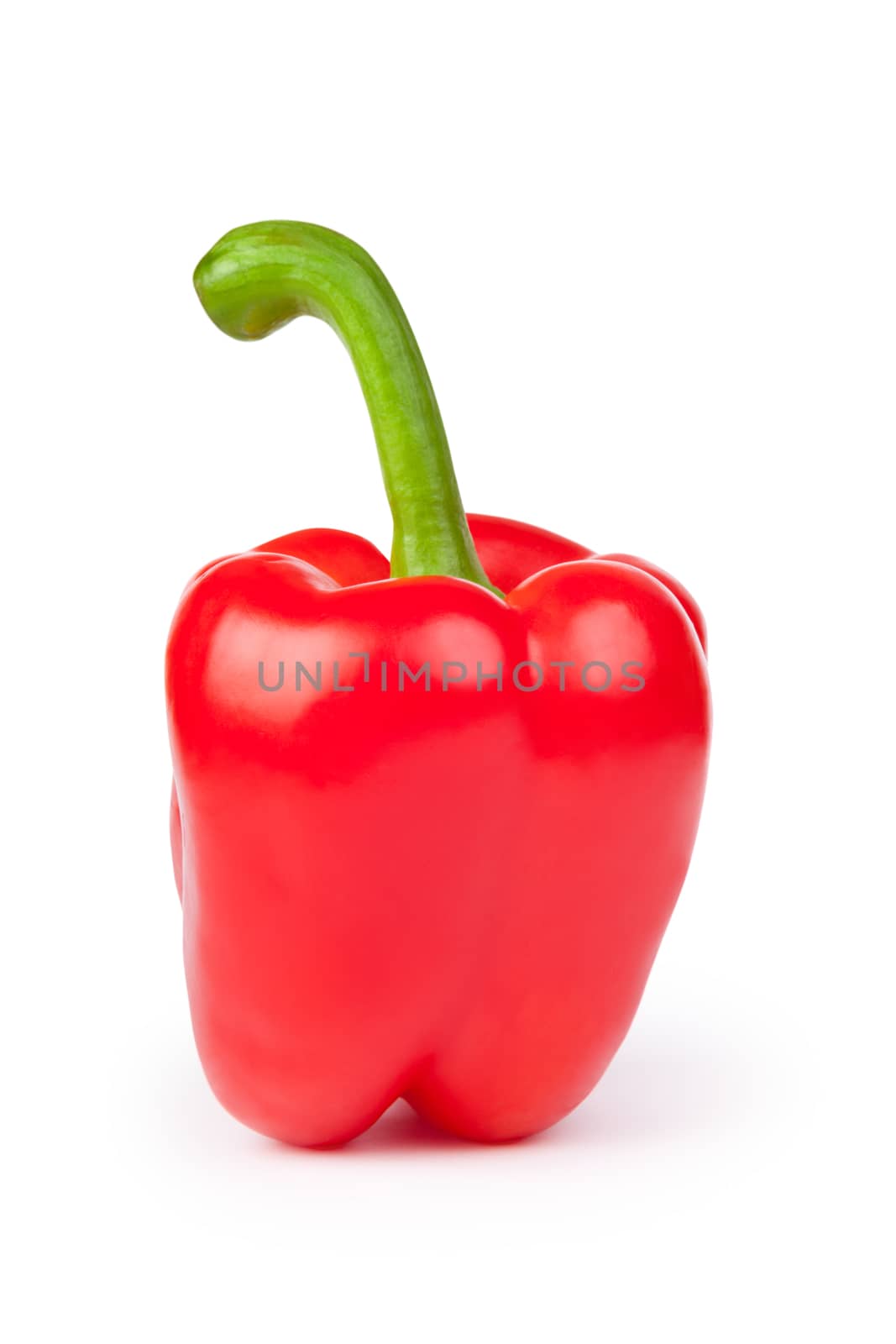 red pepper with shadow isolated on white