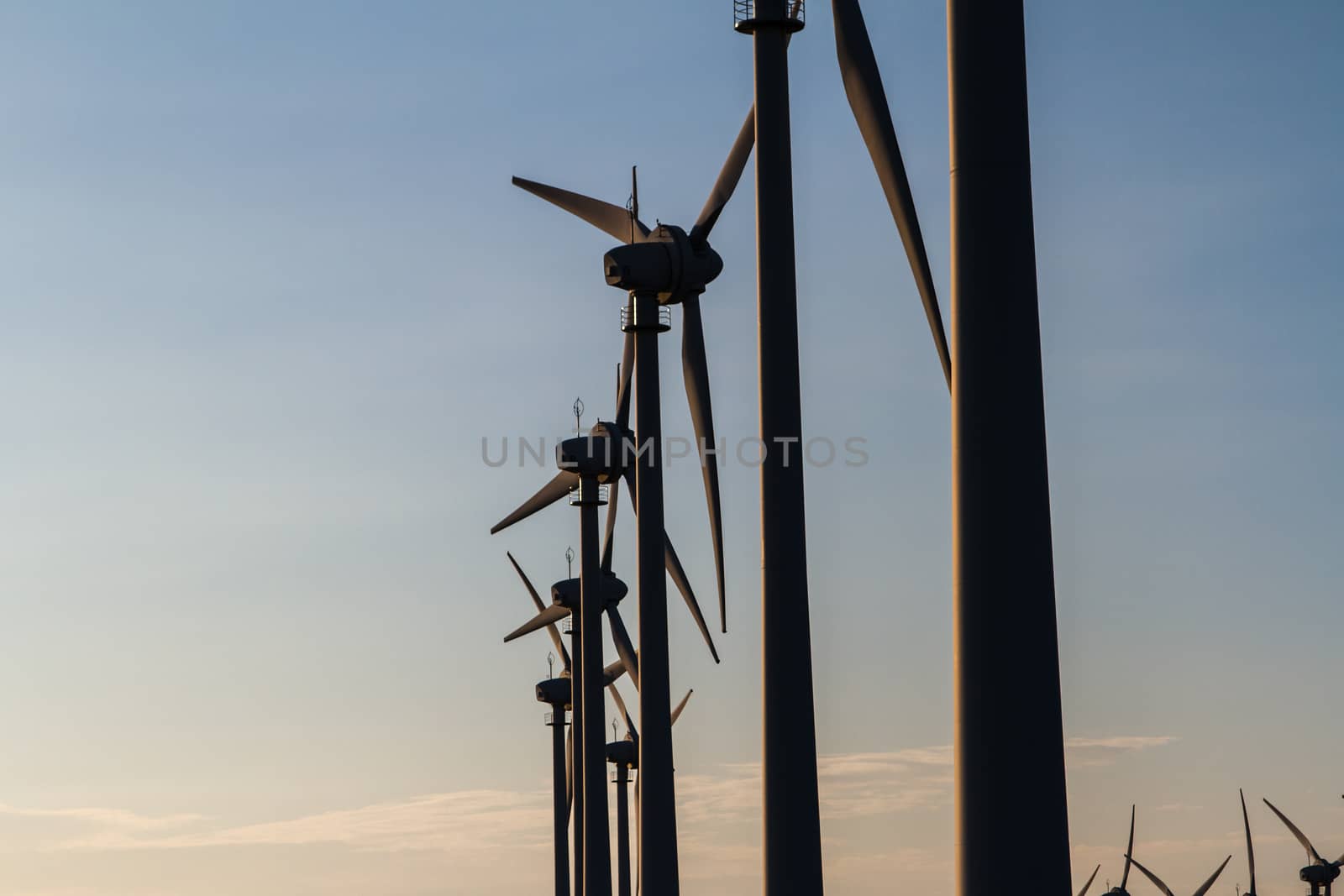 Group of windmills for renewable electric on sunset.