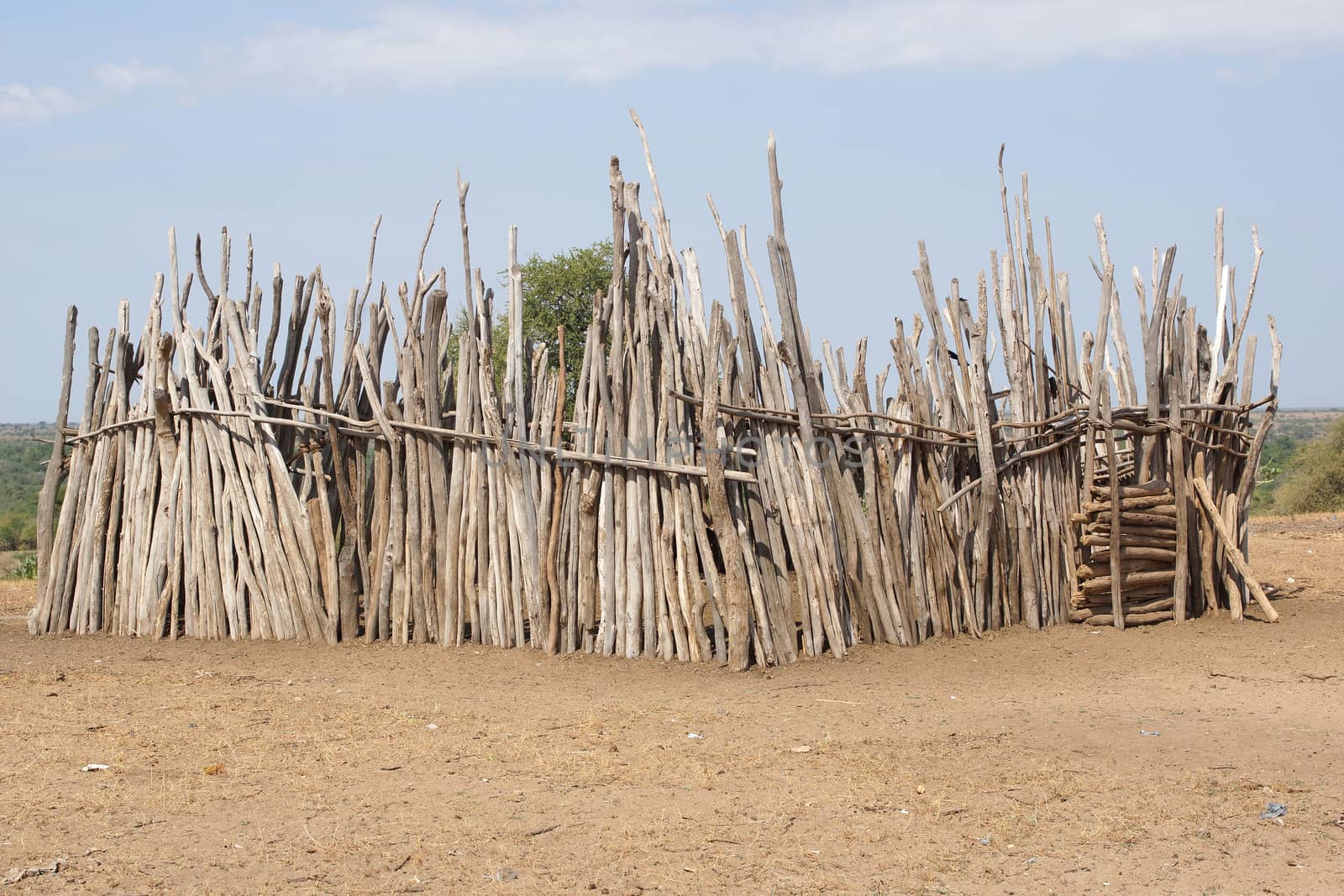 Cattle guard, village of Karo people, Ethiopia, Africa