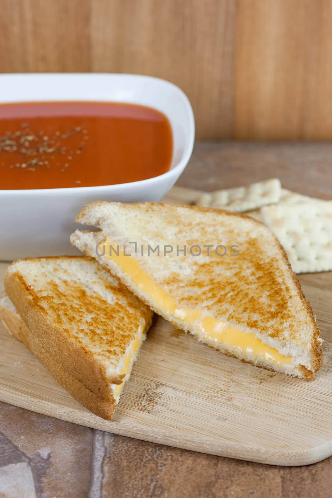 Grilled Cheese Sandwich by SouthernLightStudios