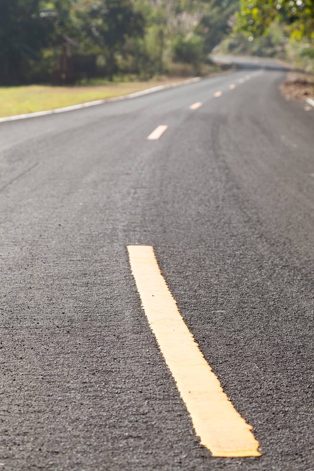 yellow curve on the road. The yellow curve on the road. Warned that the curve in this area