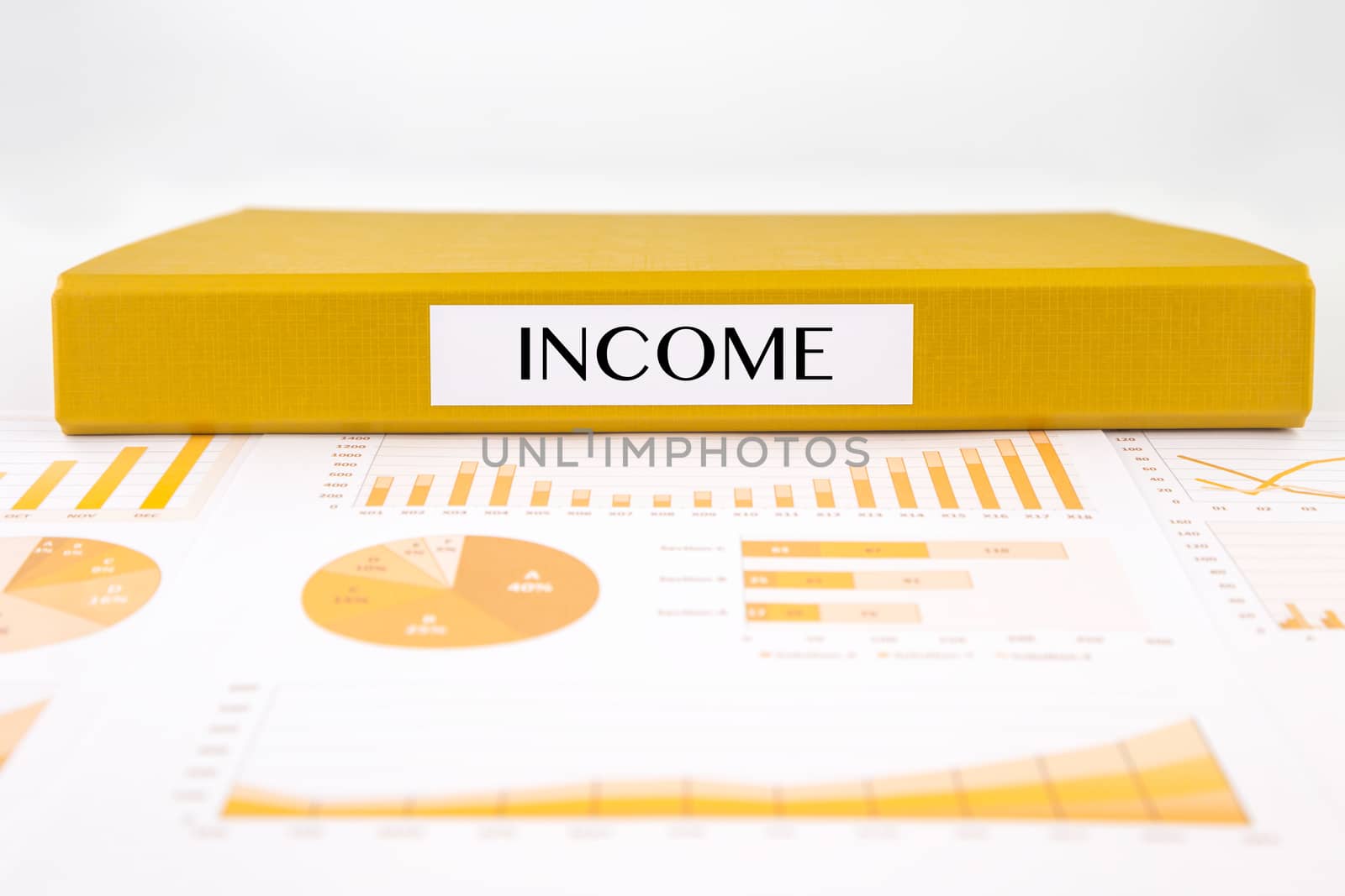 Income documents, graphs analysis and financial report by vinnstock