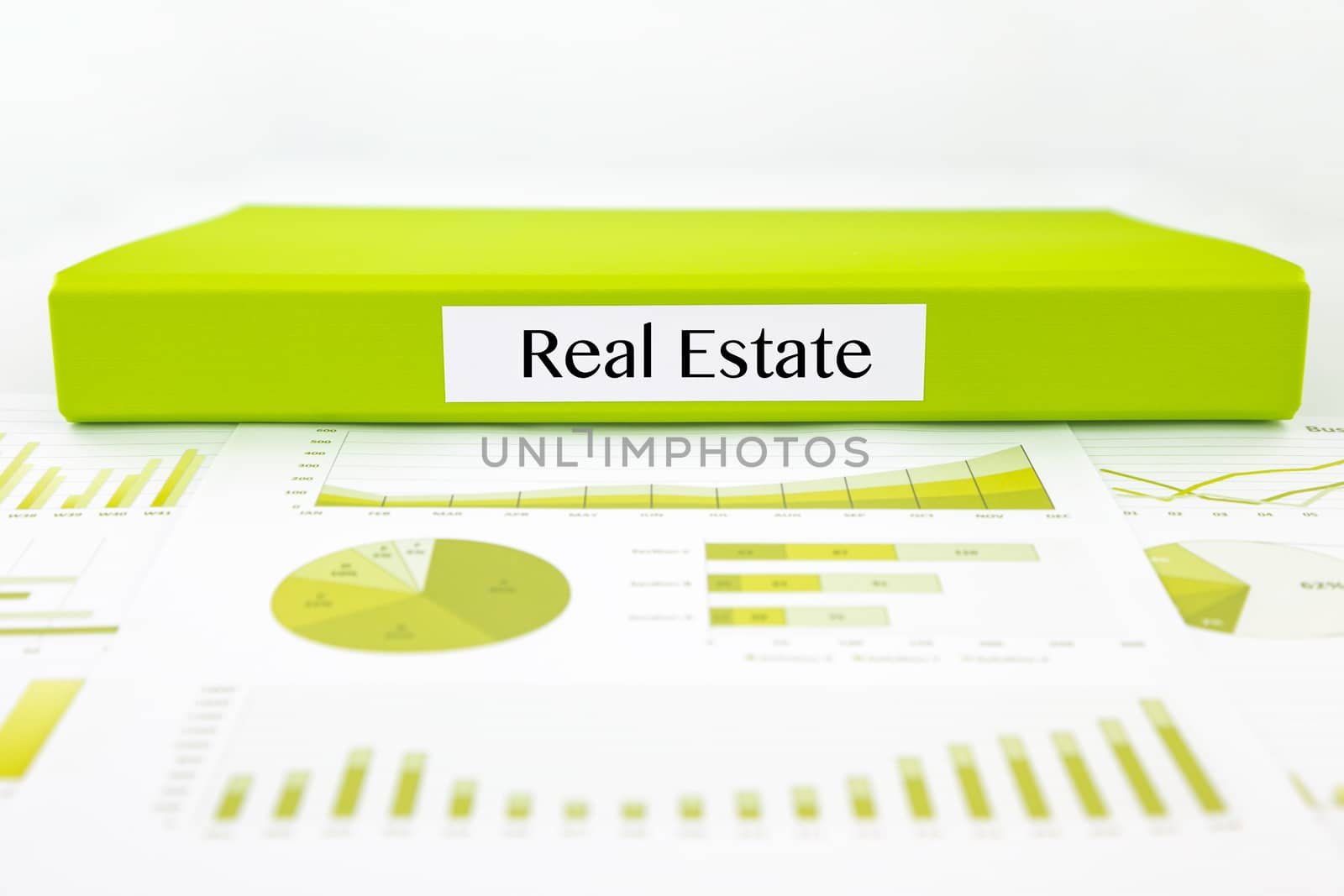 Real estate documents, graphs analysis and reports by vinnstock