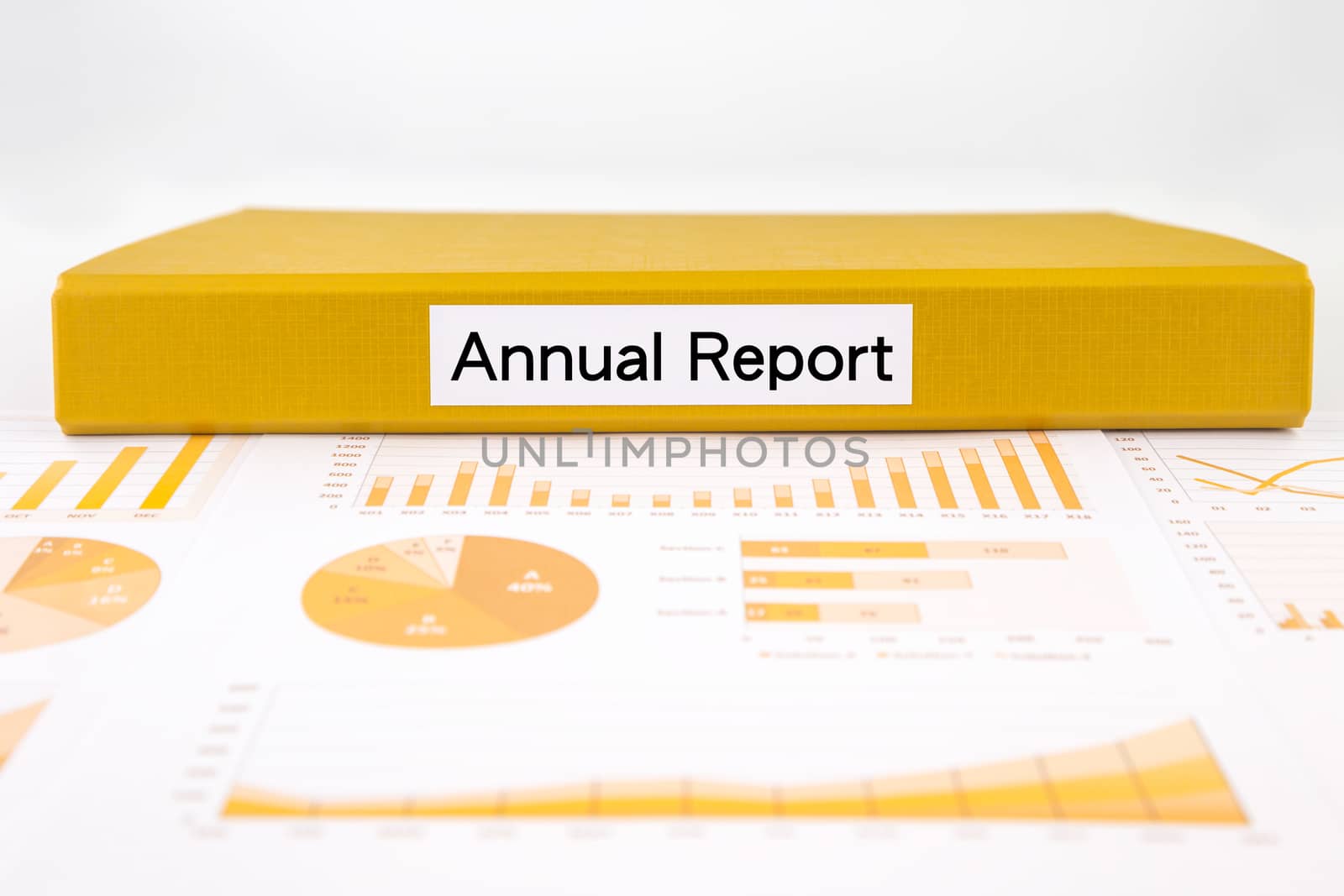 Business annual report, graphs, charts and project evaluation do by vinnstock
