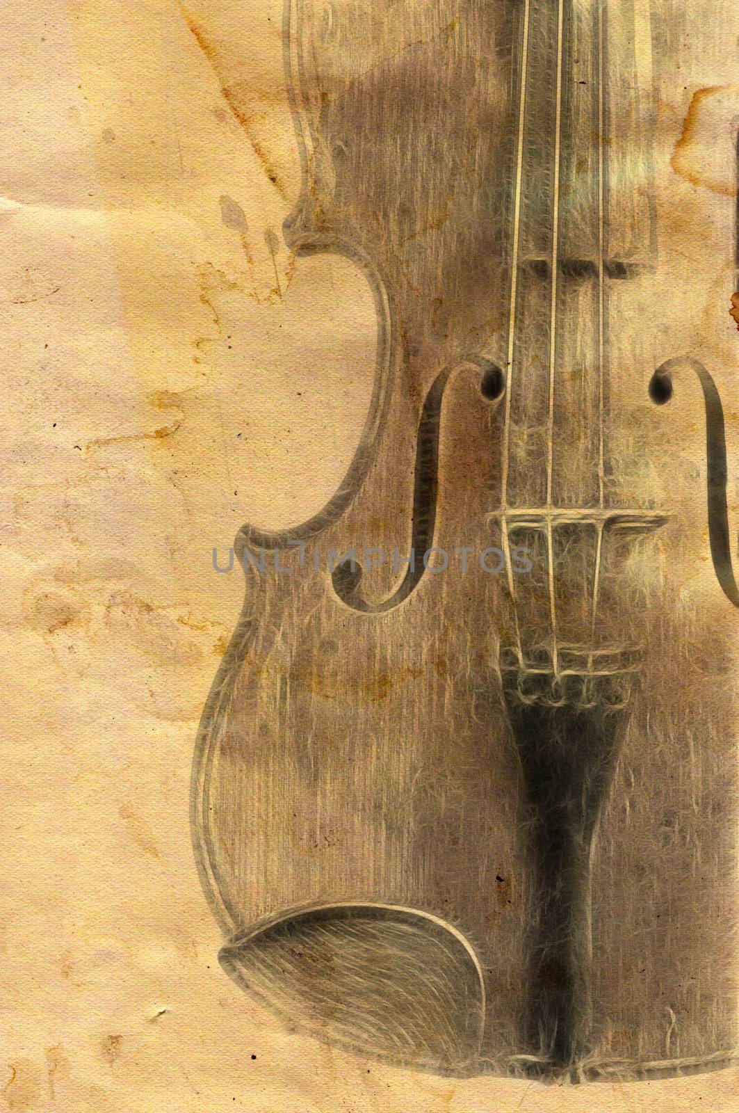 Old Fiddle by Mibuch