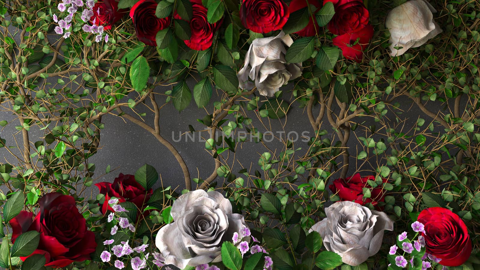 flowers rose holiday background on gray wall by denisgo