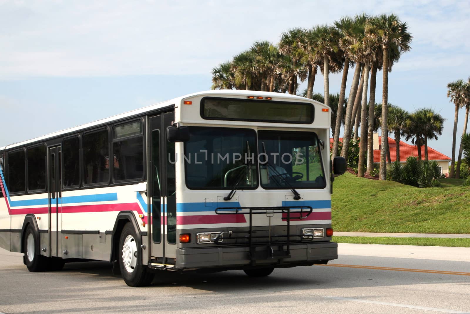 Transit bus by jimmartin
