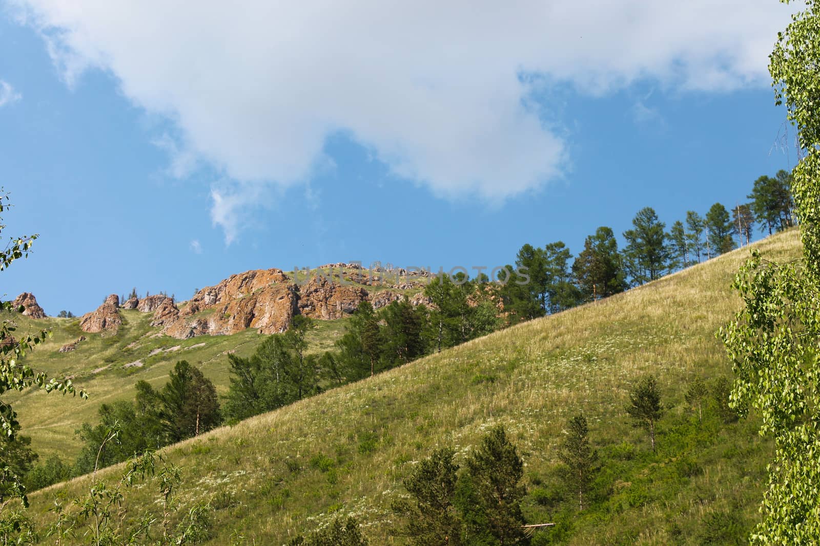 summer landscape green hills on blue sky background