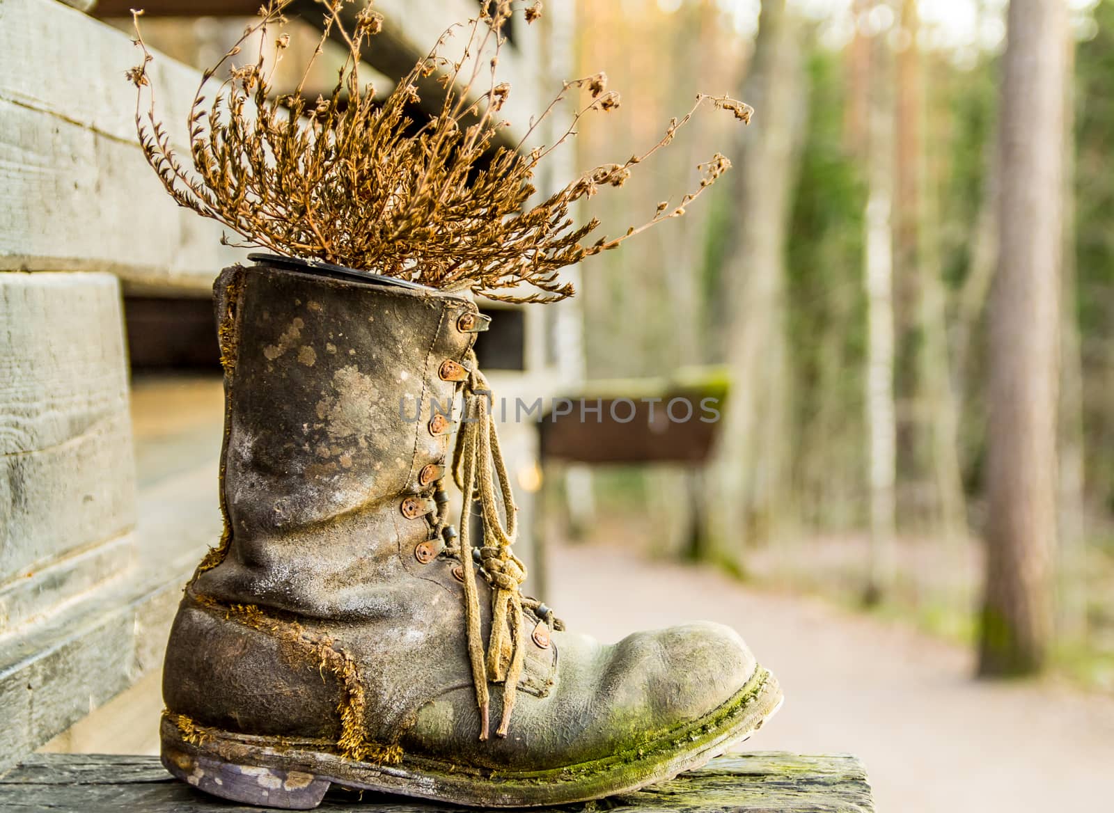 Old worn leather boot by Alexanderphoto