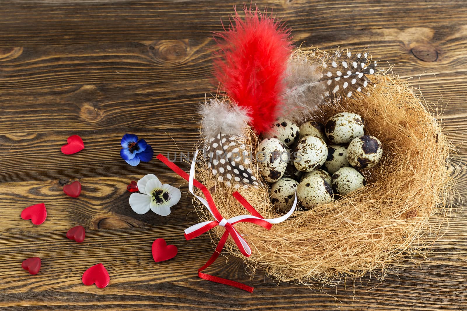 quail eggs in a nest with feathers and ribbon