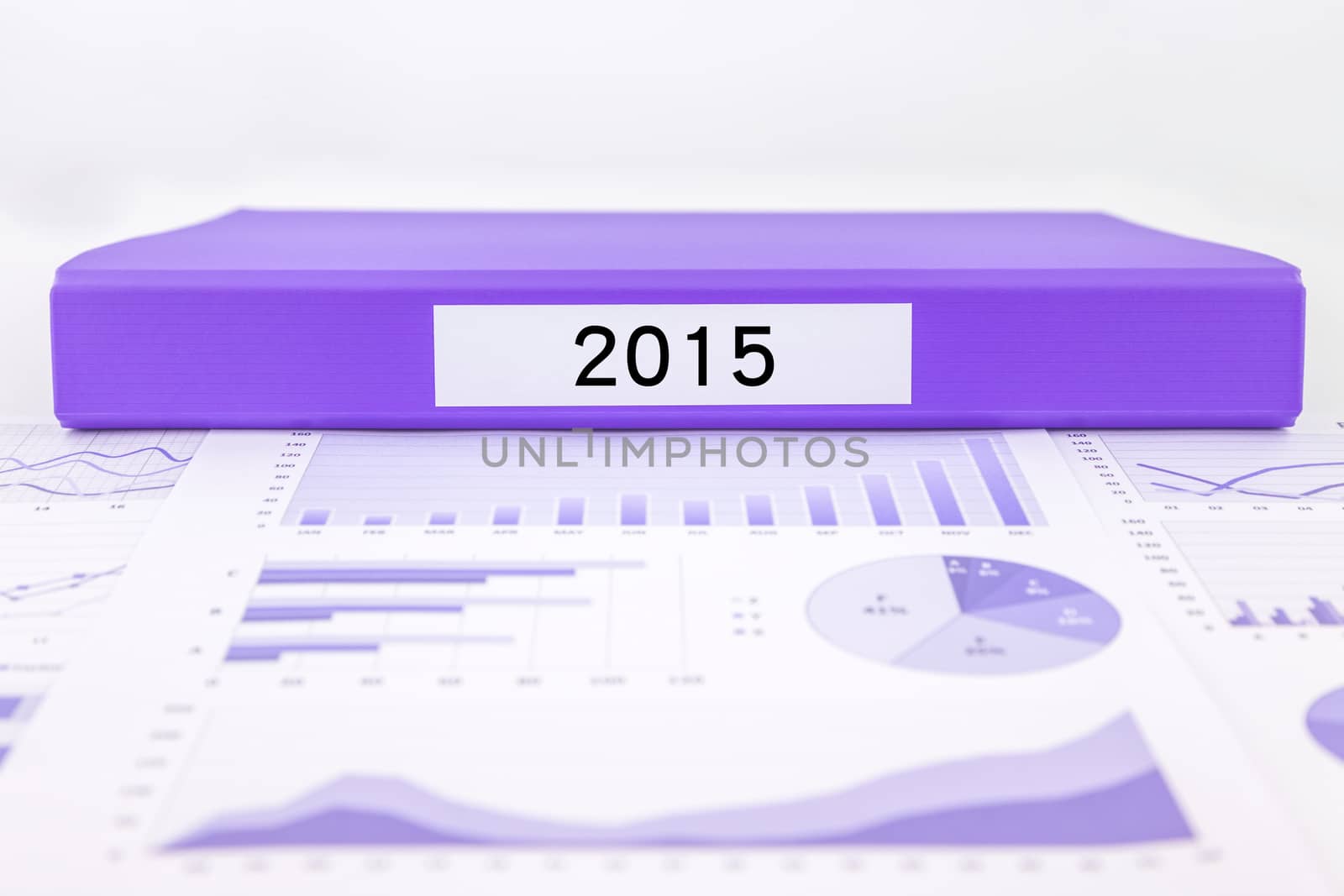 Purple document binder with year number 2015 place on graphs and charts of market trend reports