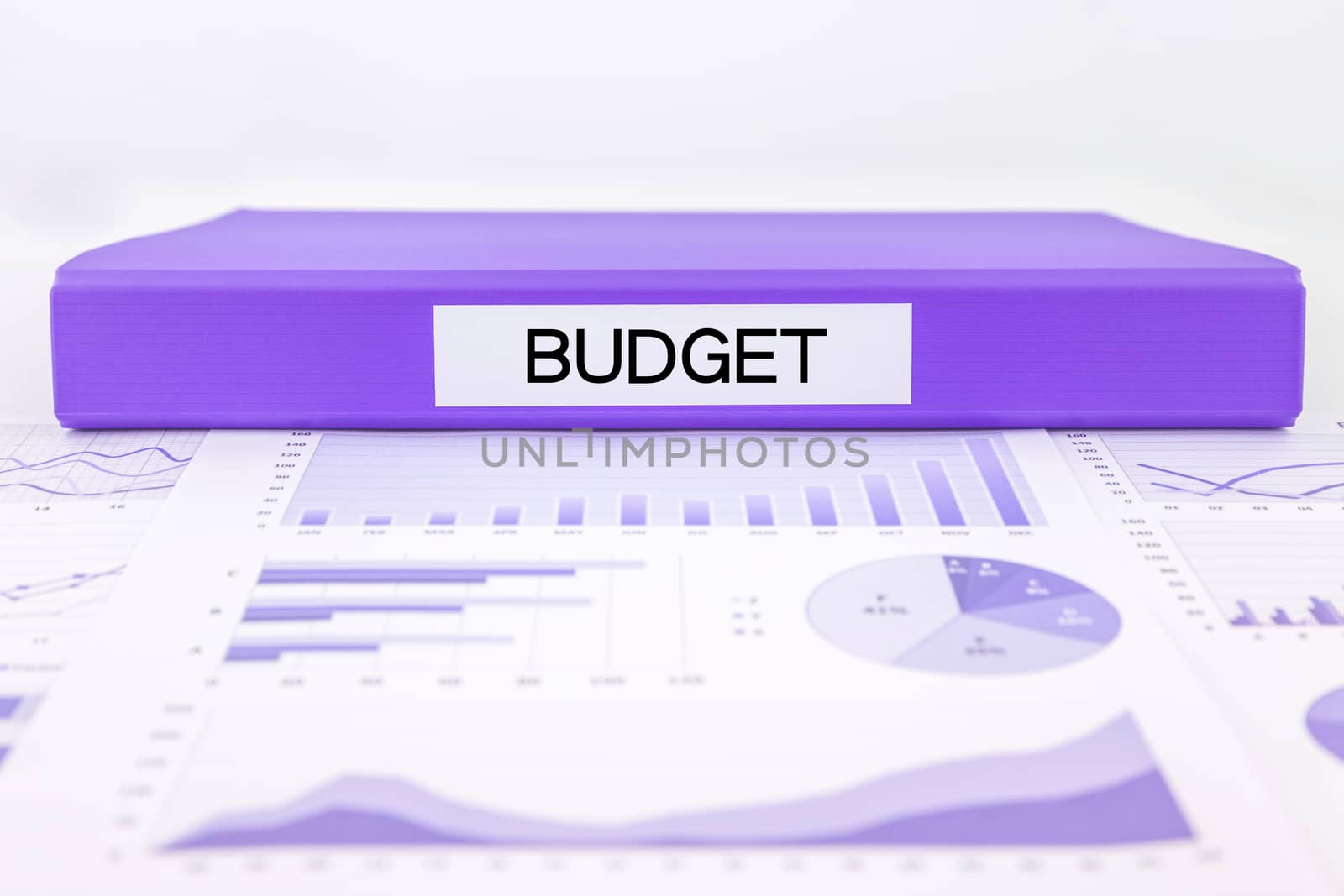 Budget management with graphs, charts and financial plan by vinnstock
