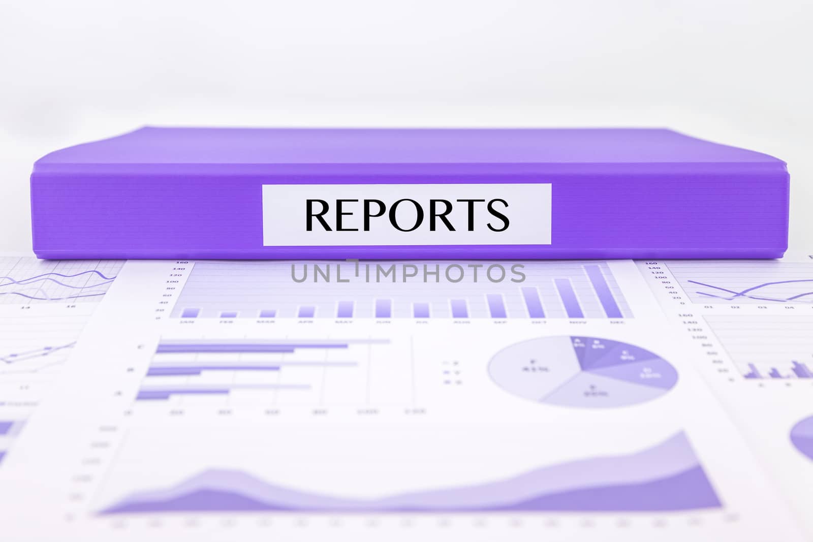 Purple document binder with reports word place on graphs, charts and data analysis of assessment and evaluation reports