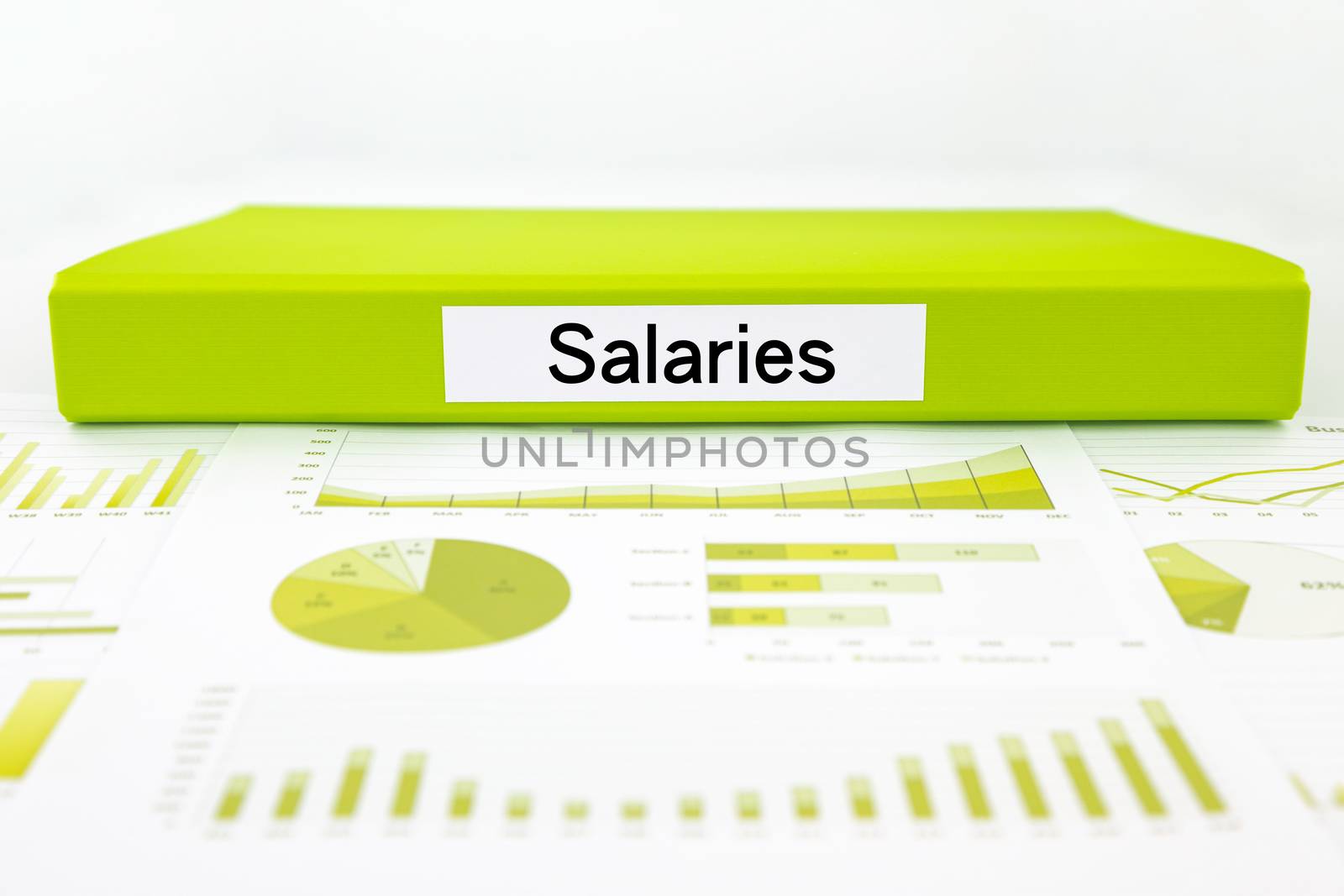 Salaries documents, graph analysis and payment report by vinnstock