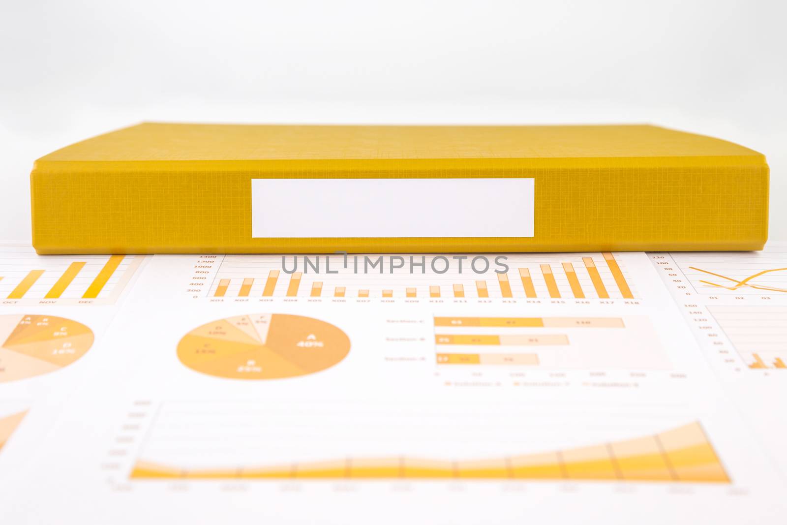 Blank label of yellow document file with chart, business graph and summary 
reports
