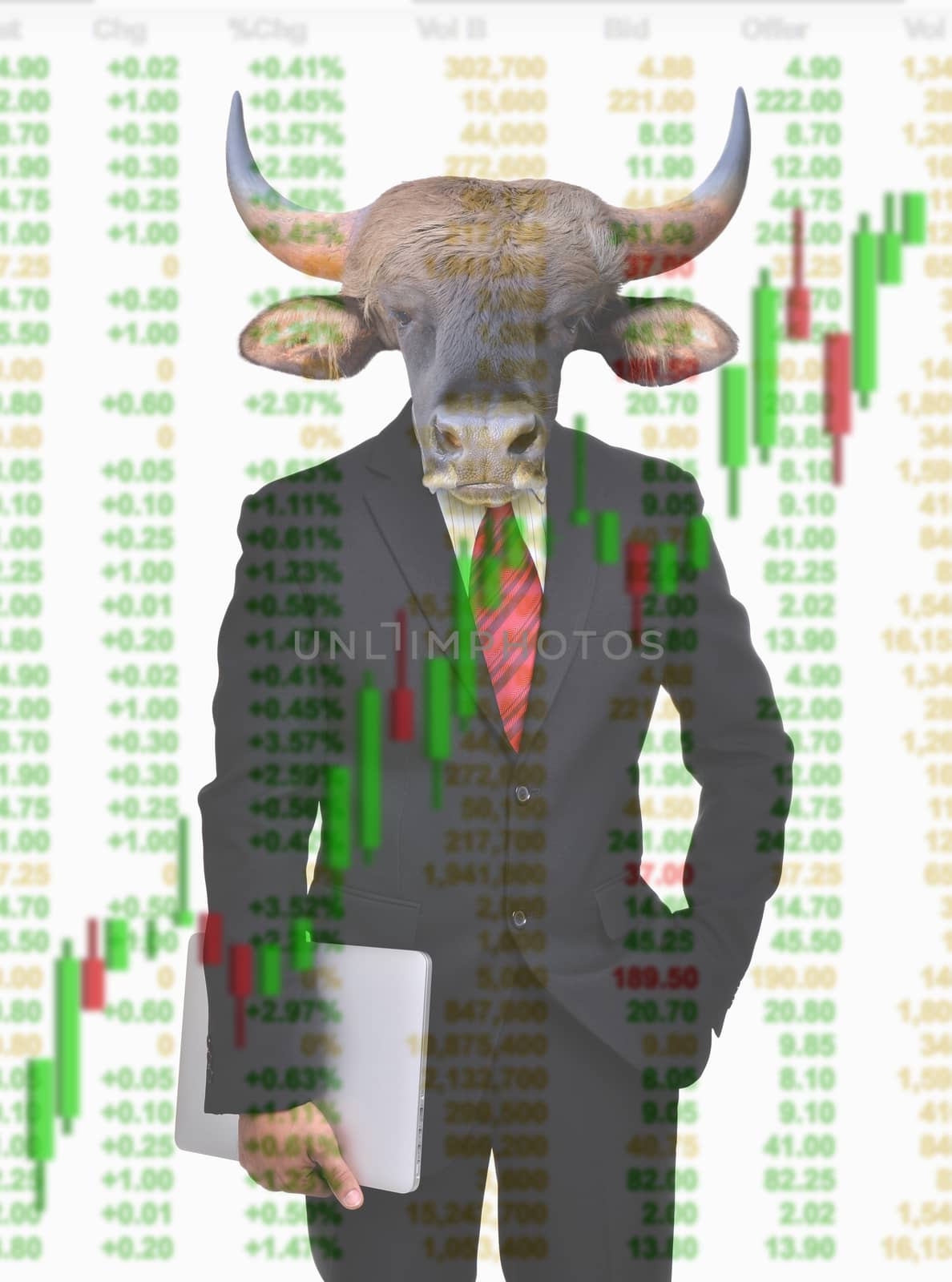 business man with bull head in tock investment concept