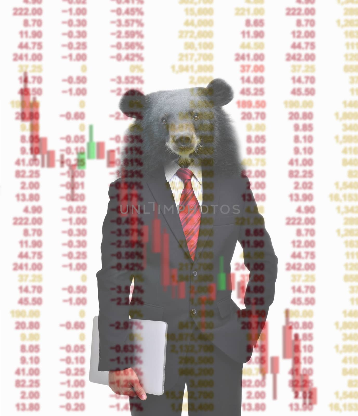 bear market, stock investment concept by anankkml