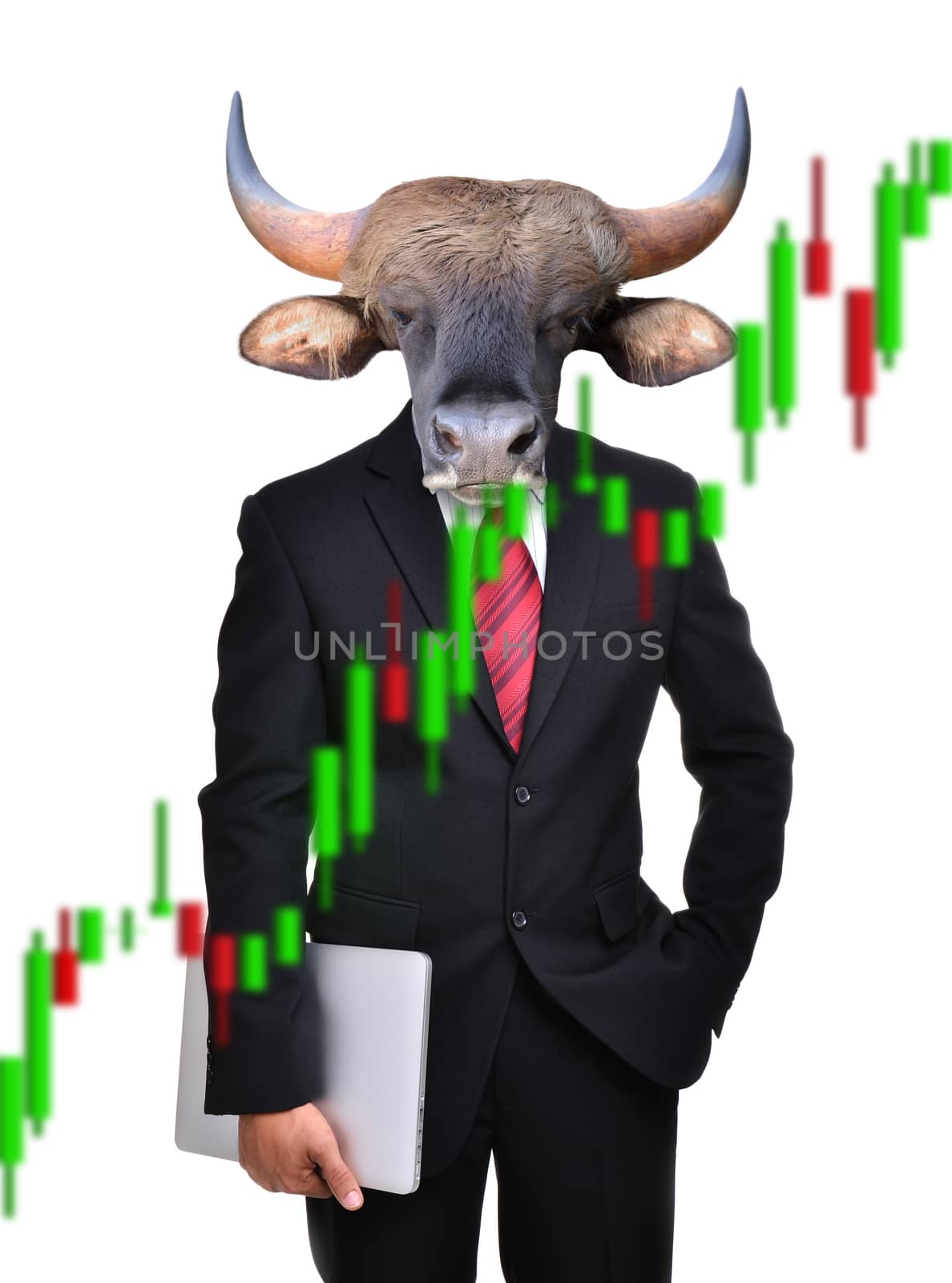 bull market, stock investment concept by anankkml