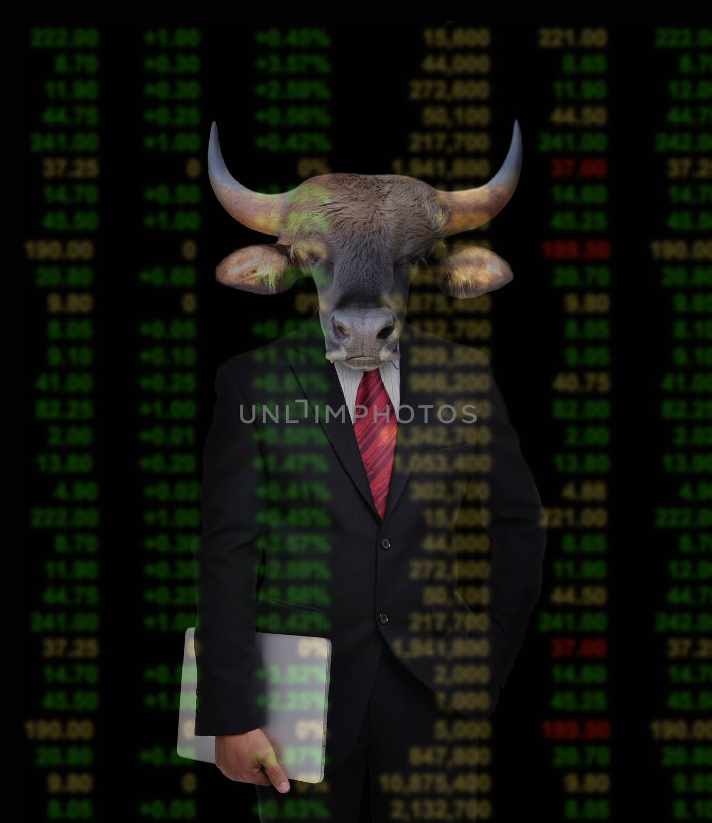 bull market, stock investment concept by anankkml