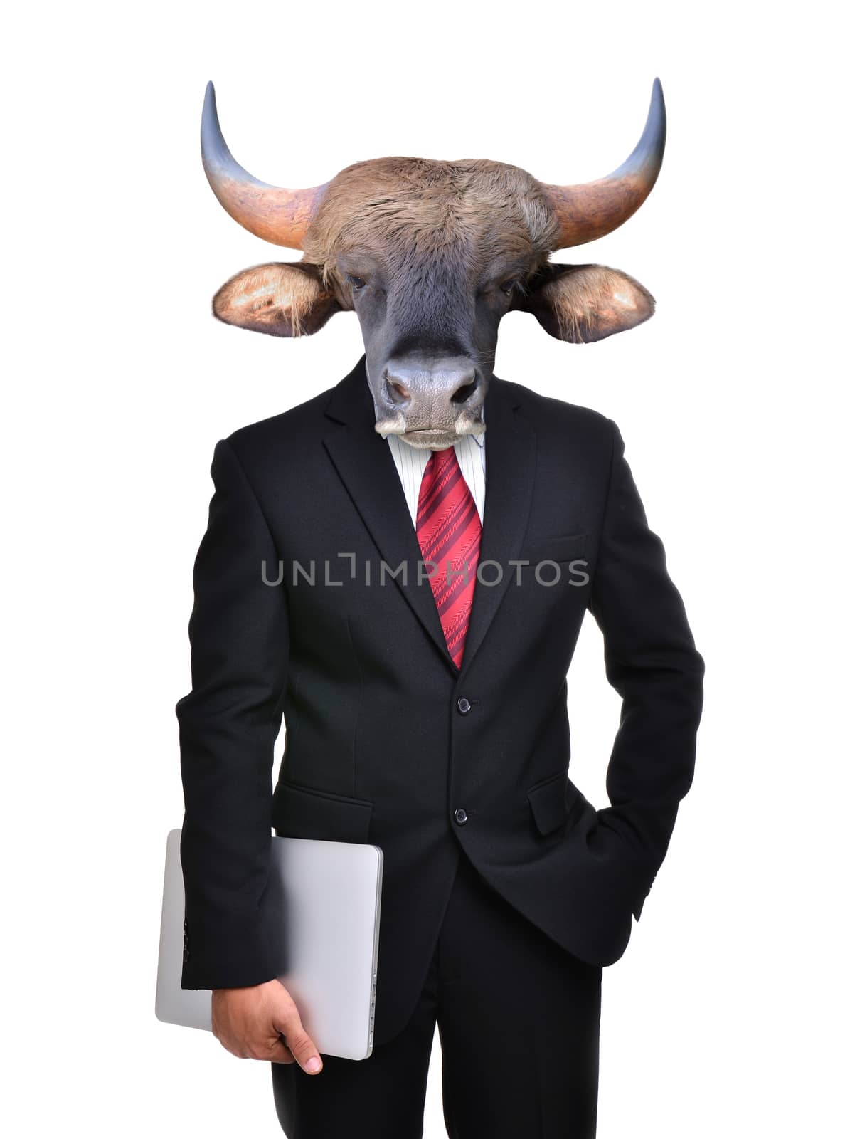 business man with animal head isolated  by anankkml