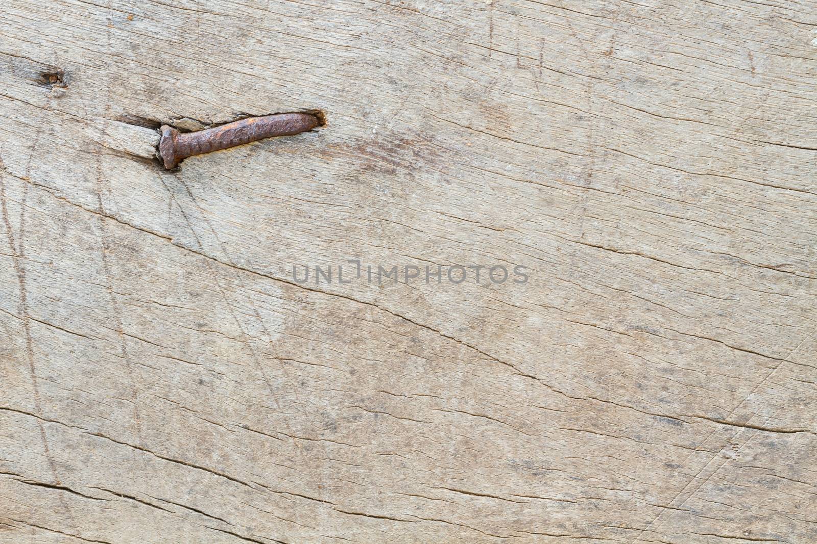 Obsolete weathered cracked white painted wood background with old rusty nail