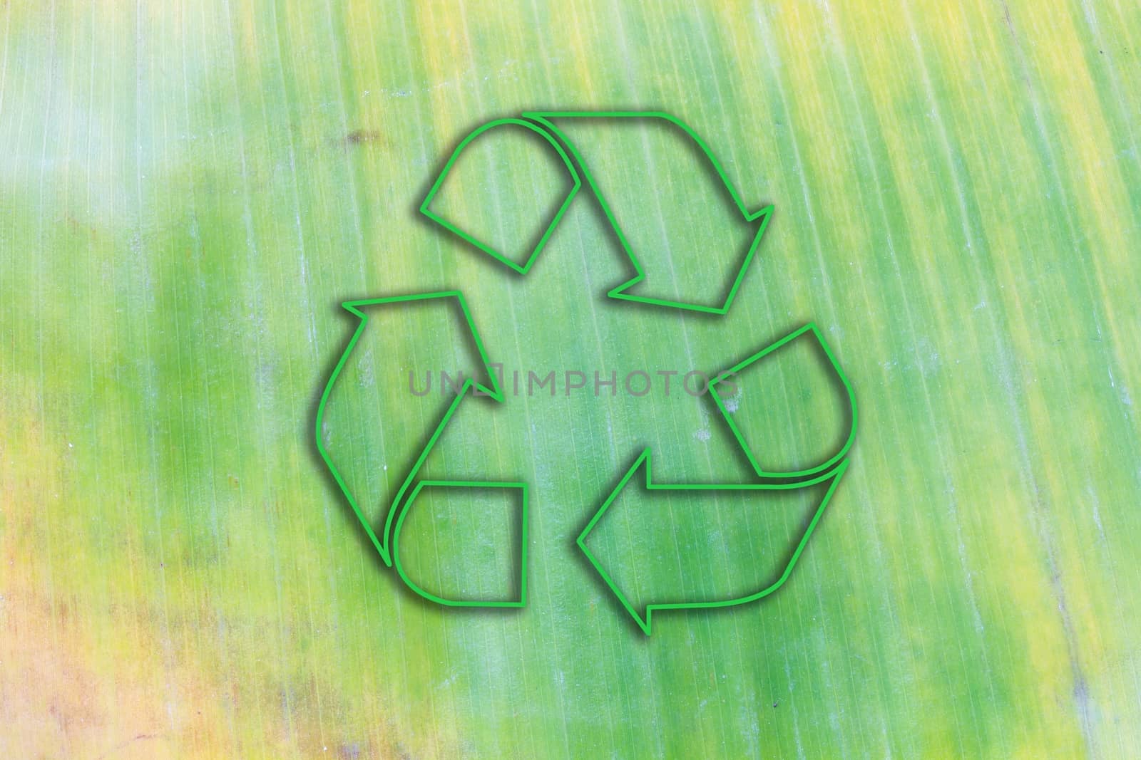 withered green and yellow banana leaf background with lines, with green sign of recycle
