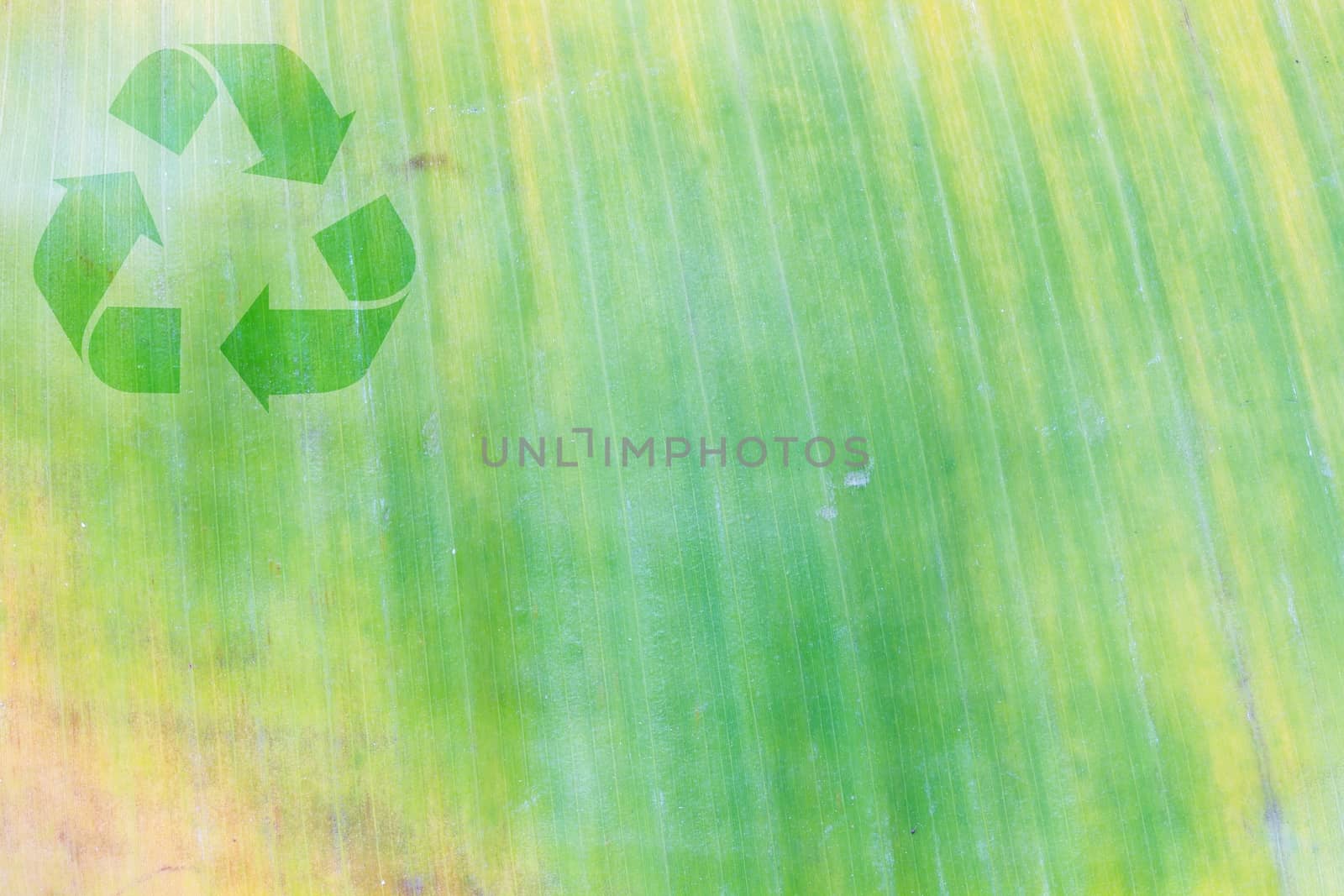 withered green and yellow banana leaf background with lines, with symbol of recycle on the upper corner