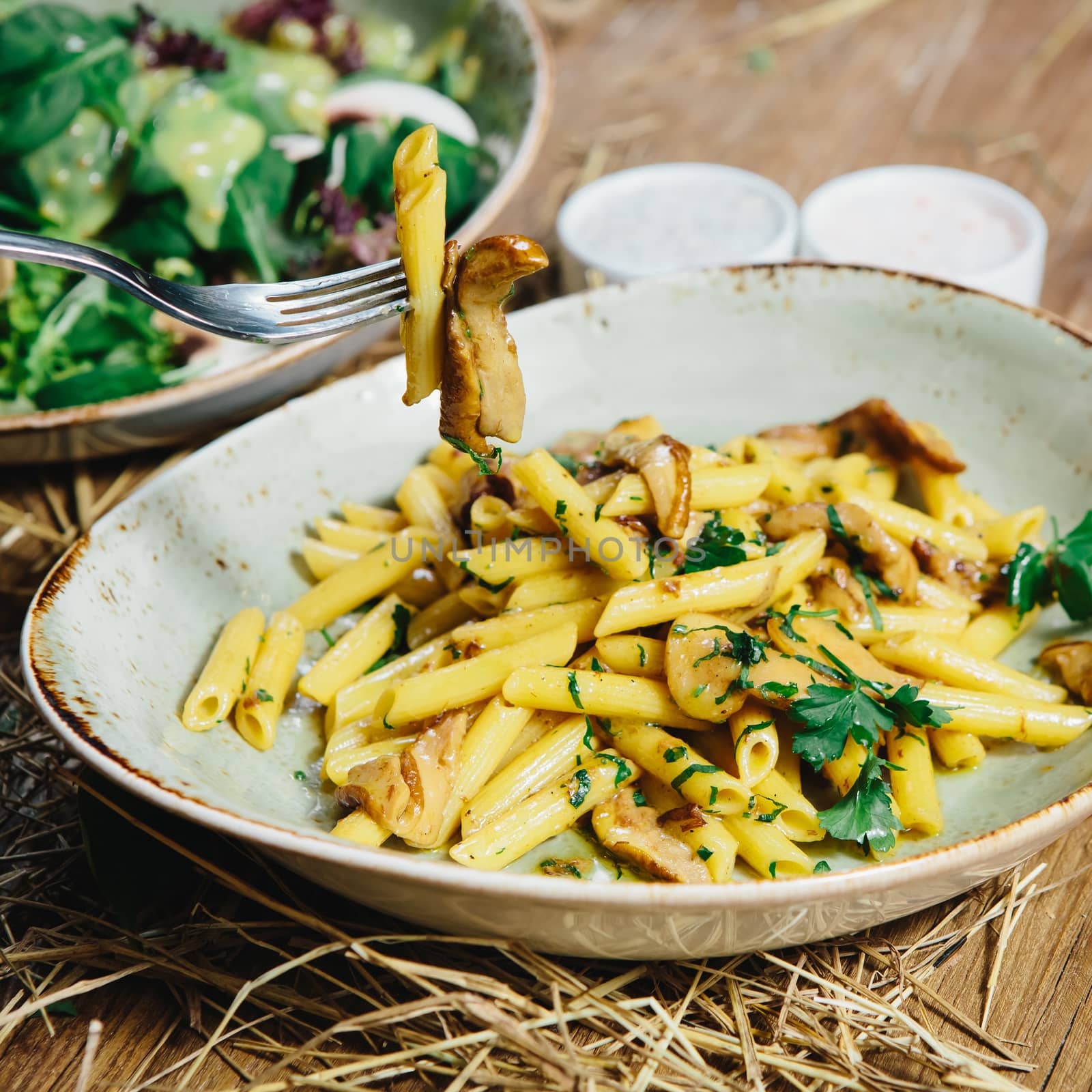 pasta penne with mushrooms grilled in sour cream sauce